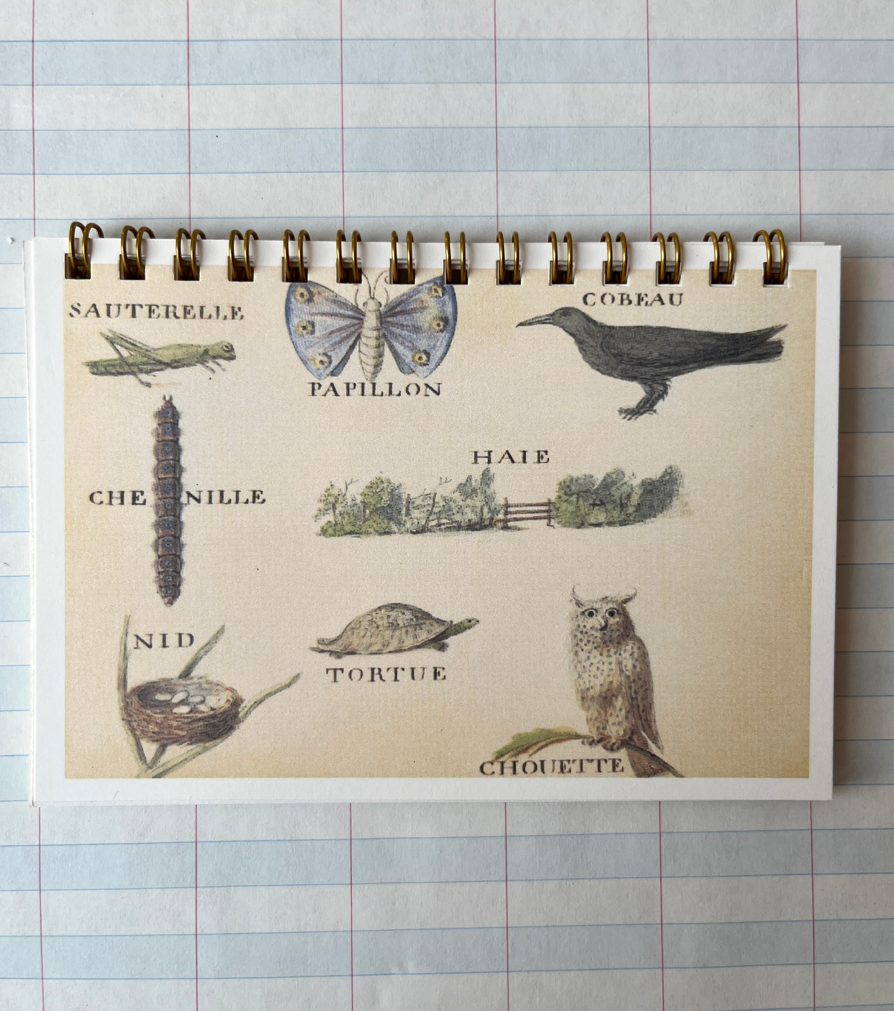 French Objects: Mini Notebooks - PARCEL
