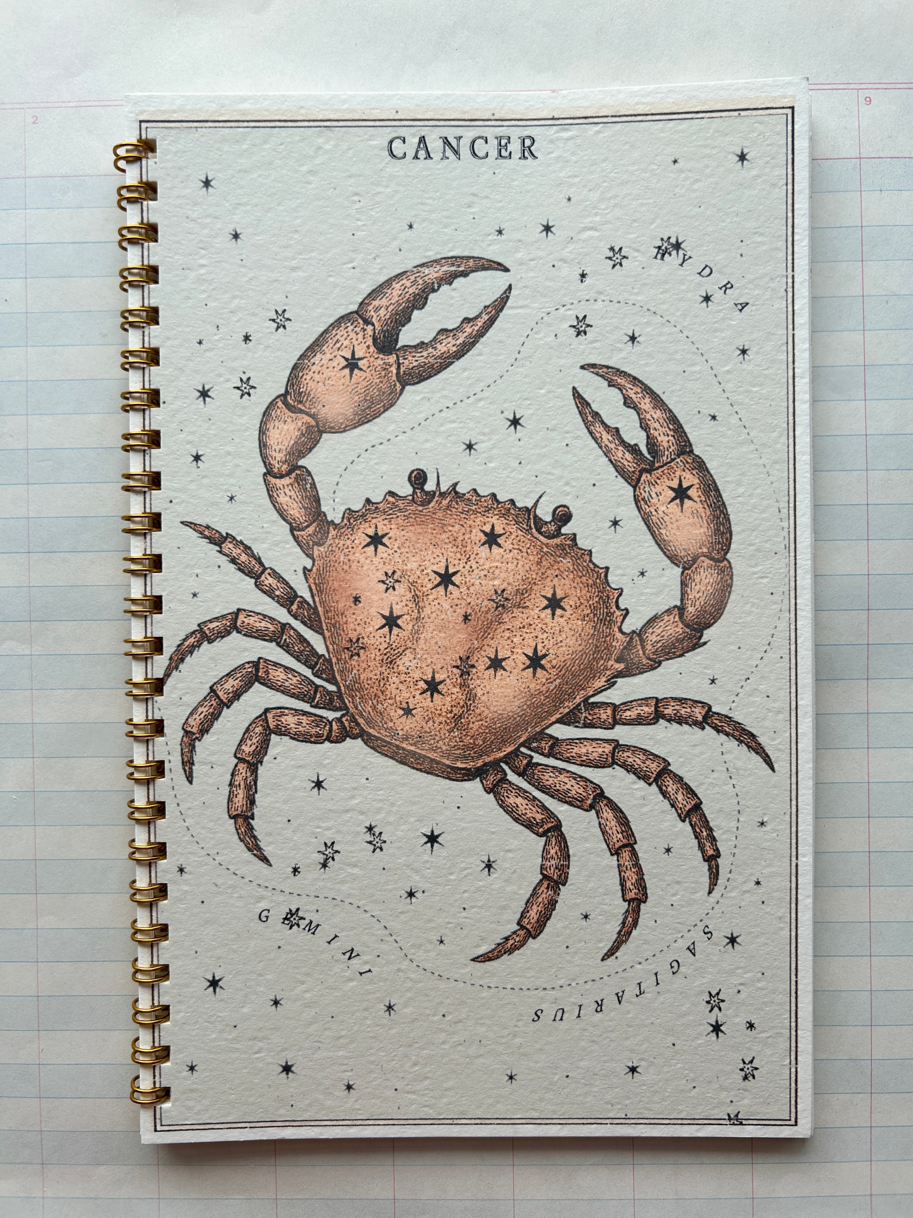 Zodiac Series Notebooks