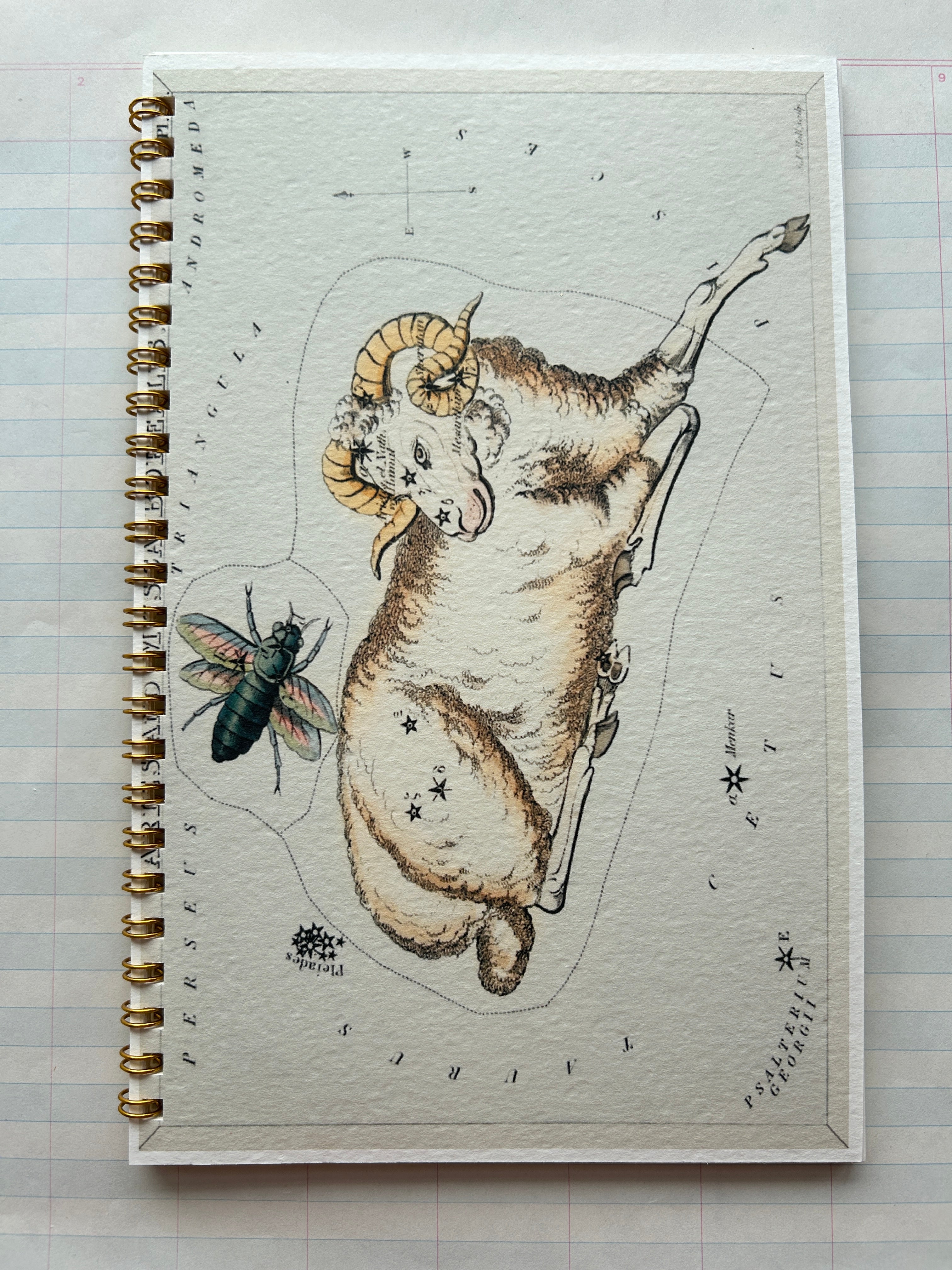 Zodiac Series Notebooks