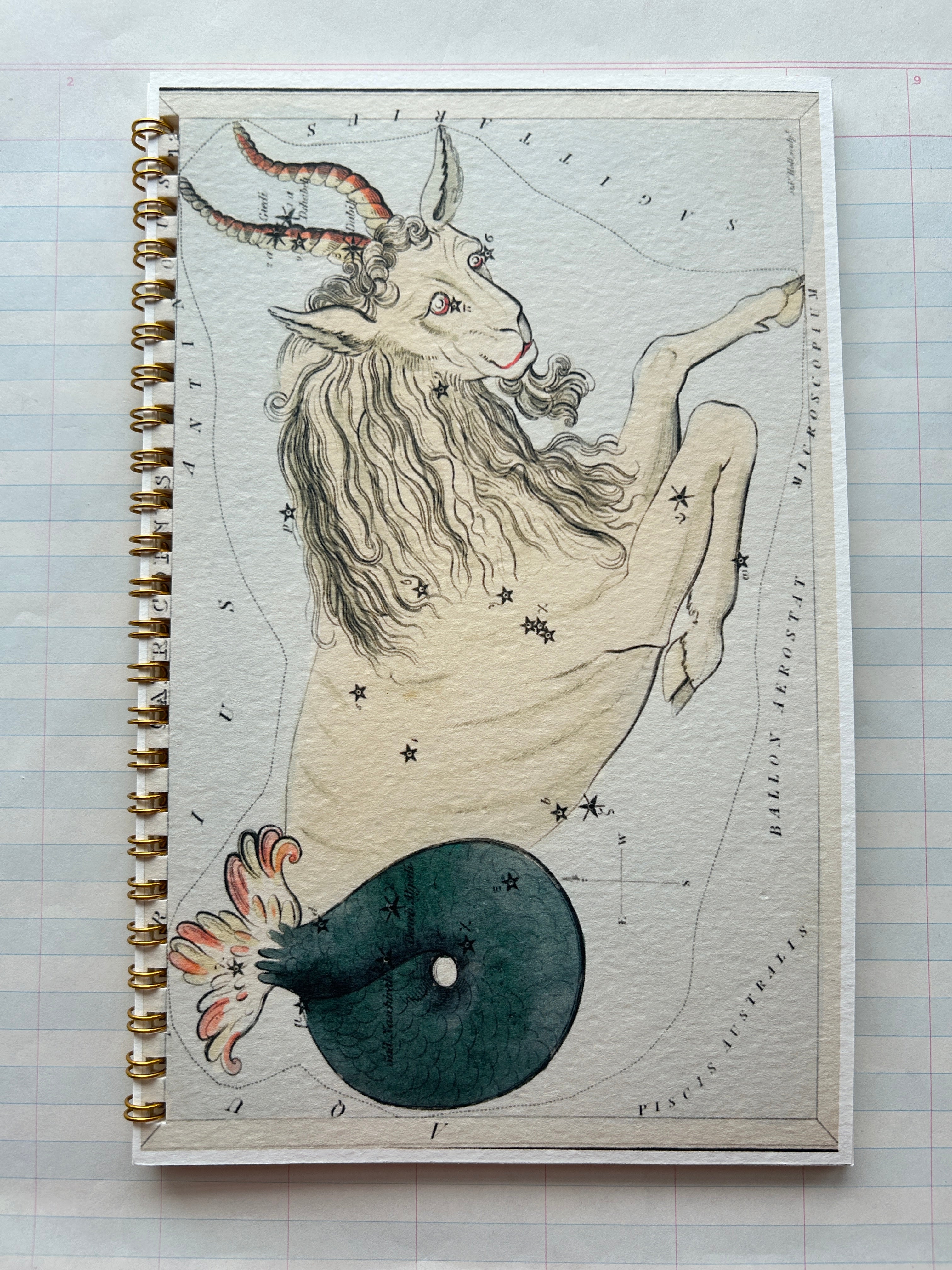 Zodiac Series Notebooks