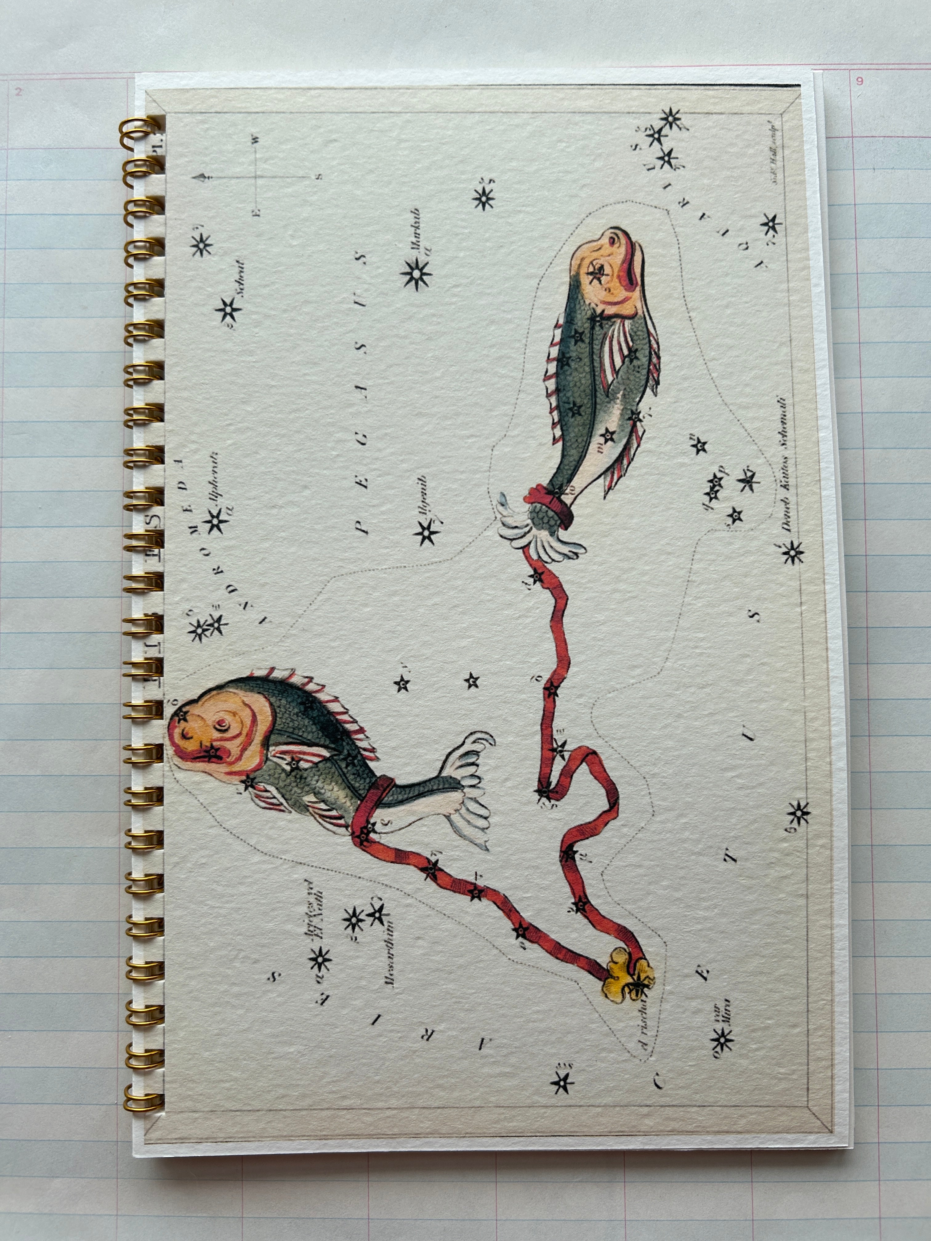 Zodiac Series Notebooks