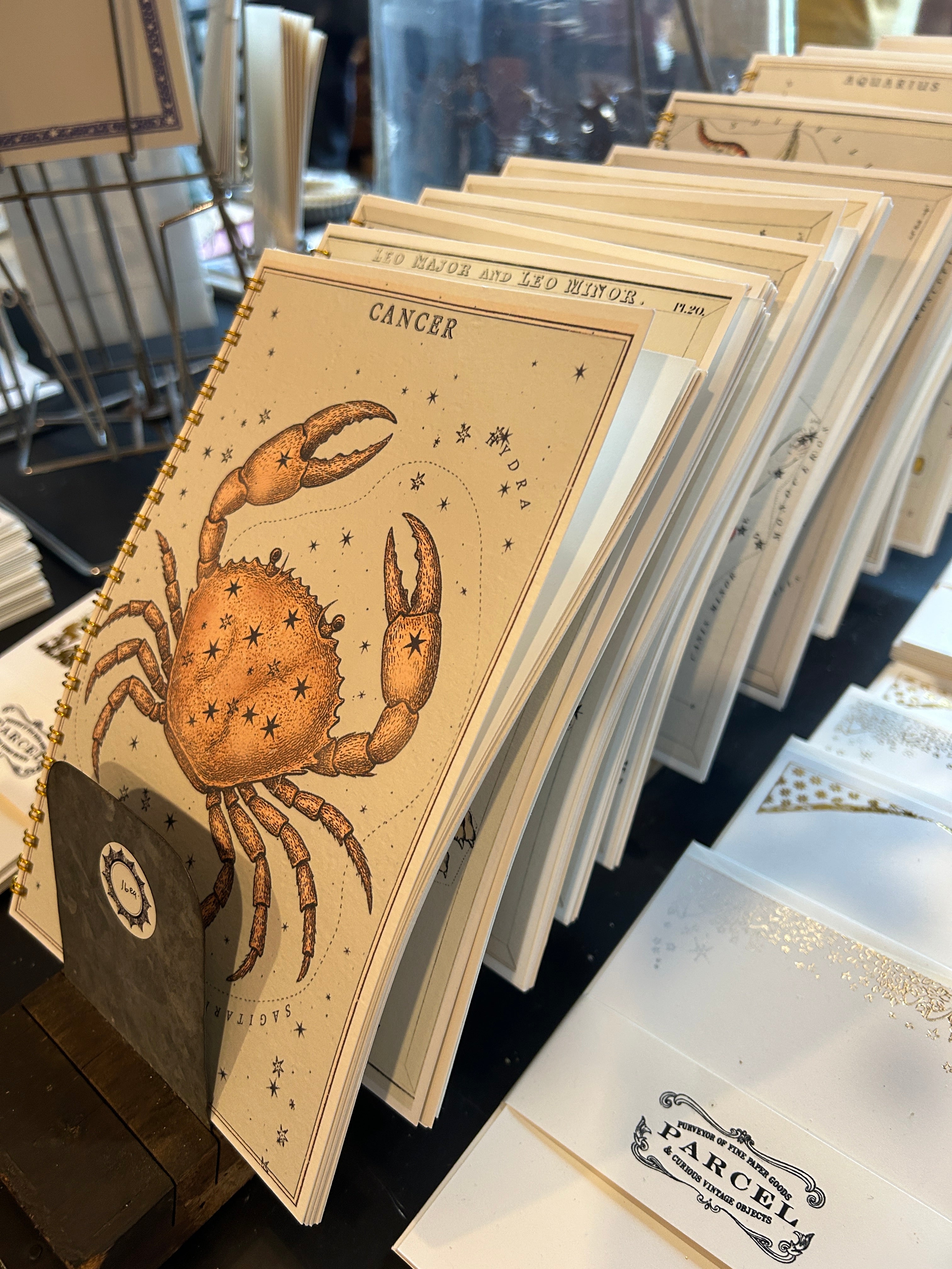 Zodiac Series Notebooks