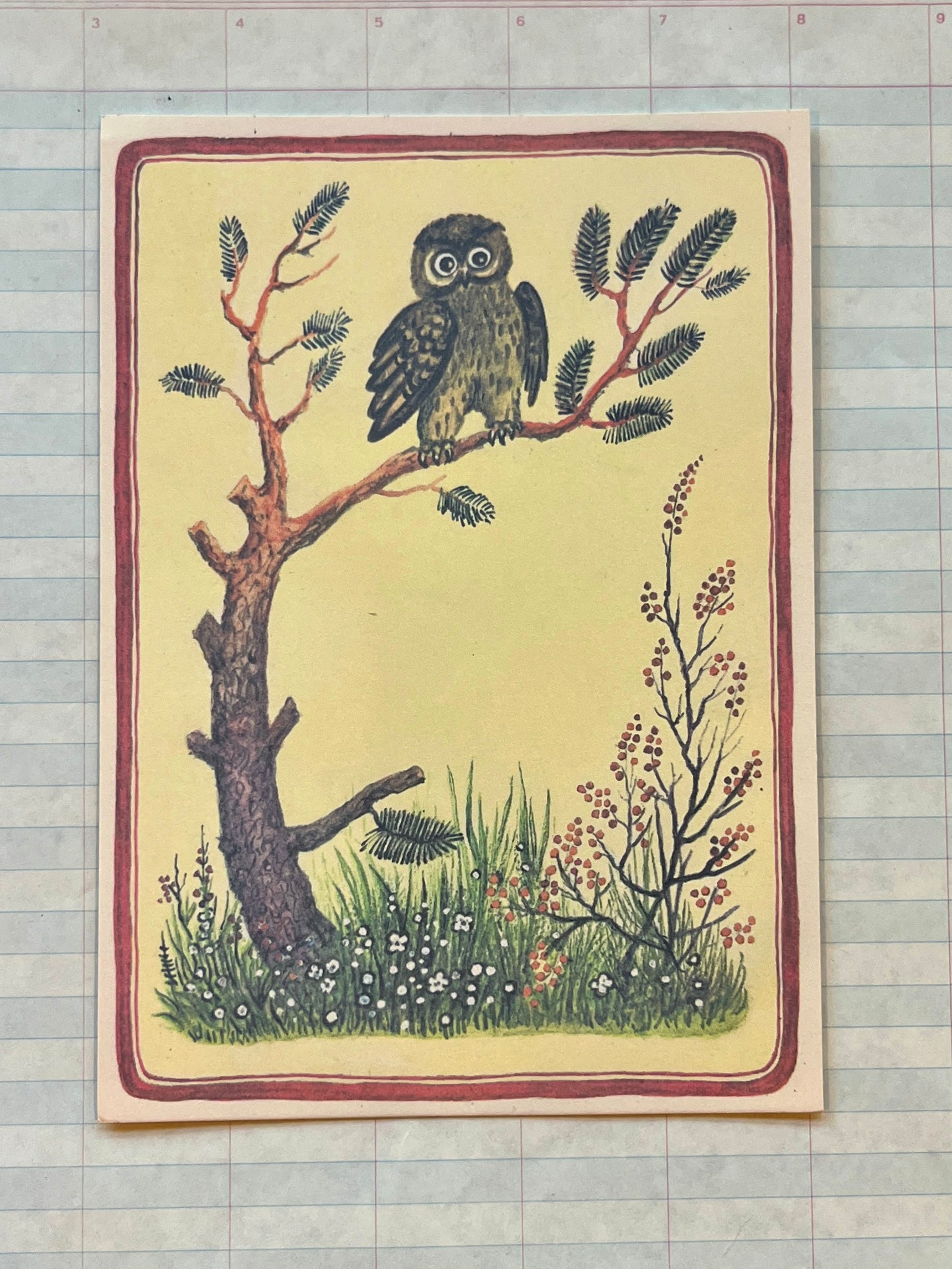 Out on a Limb Stationery Set - PARCEL
