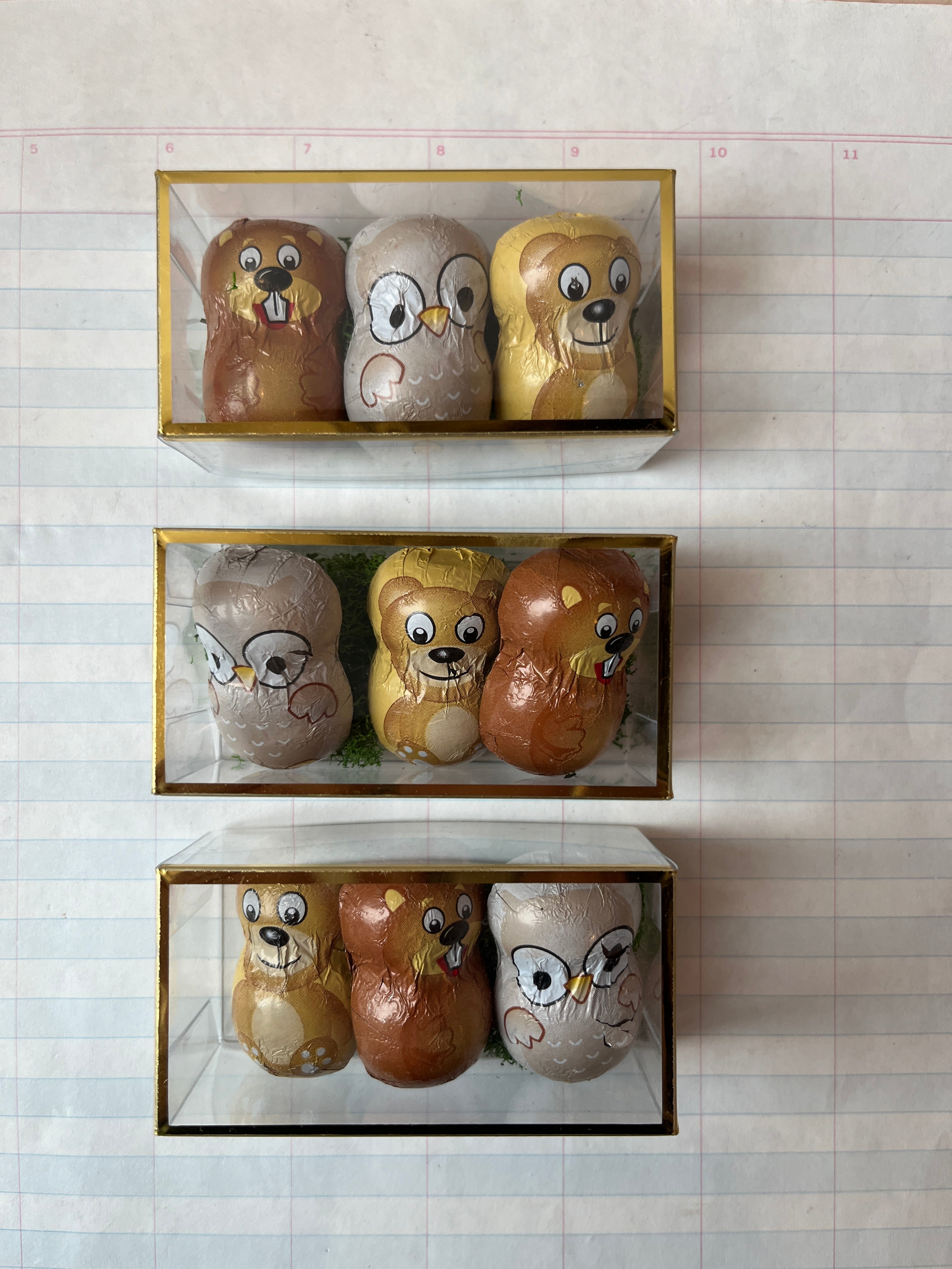 Forest Friends Chocolates - PARCEL