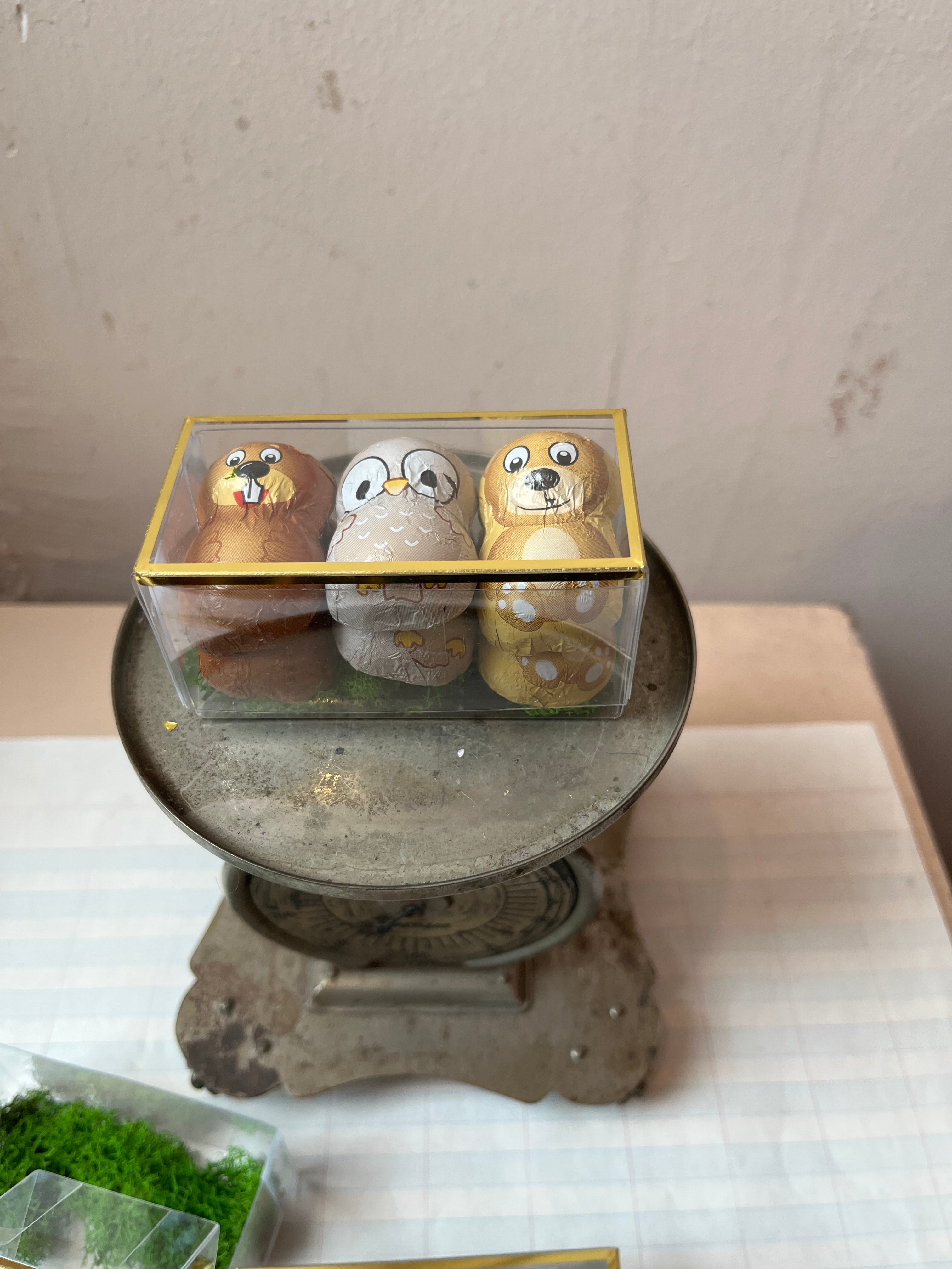 Forest Friends Chocolates - PARCEL
