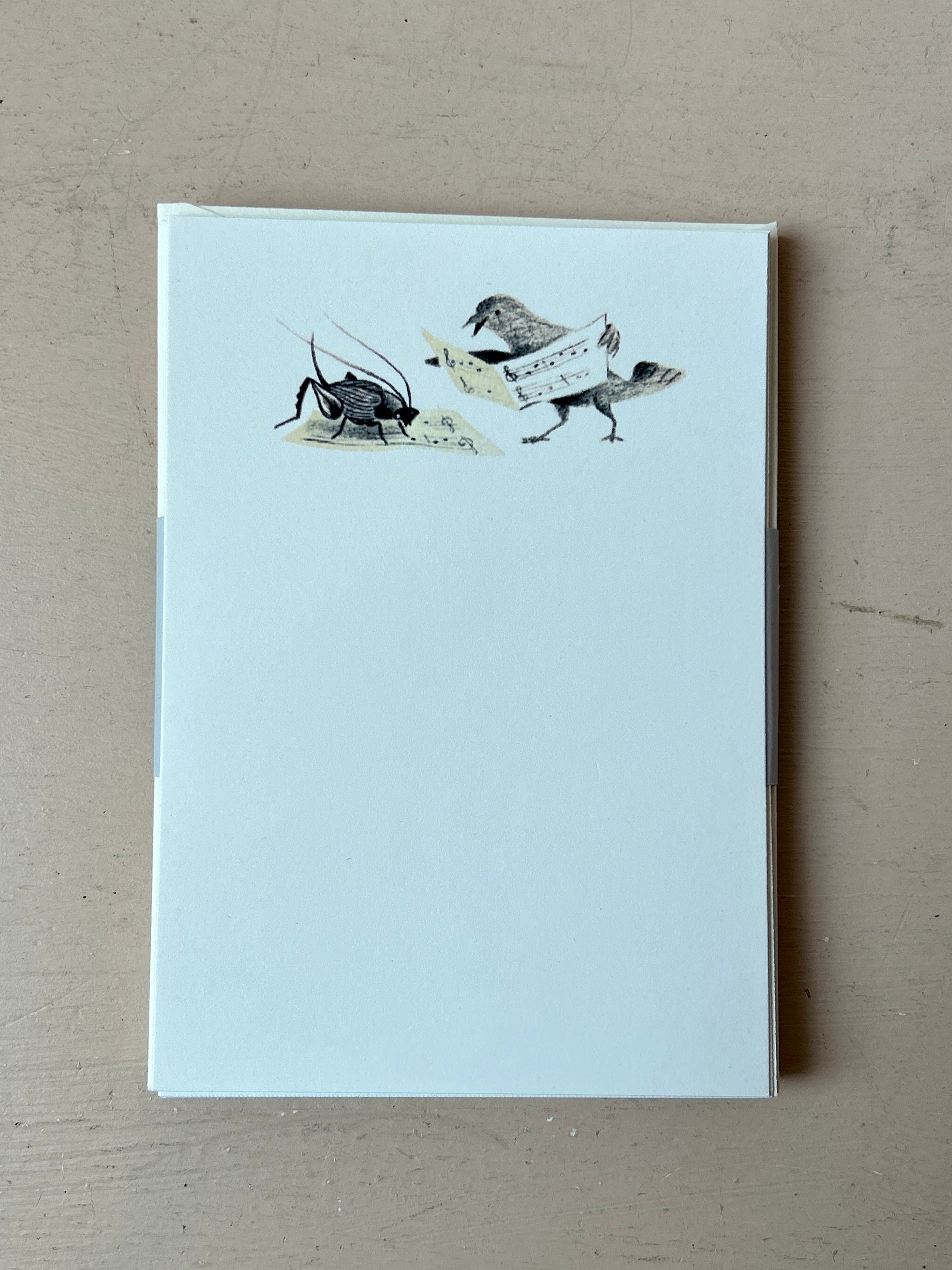 Music Lessons Mini Printed Notecards - PARCEL