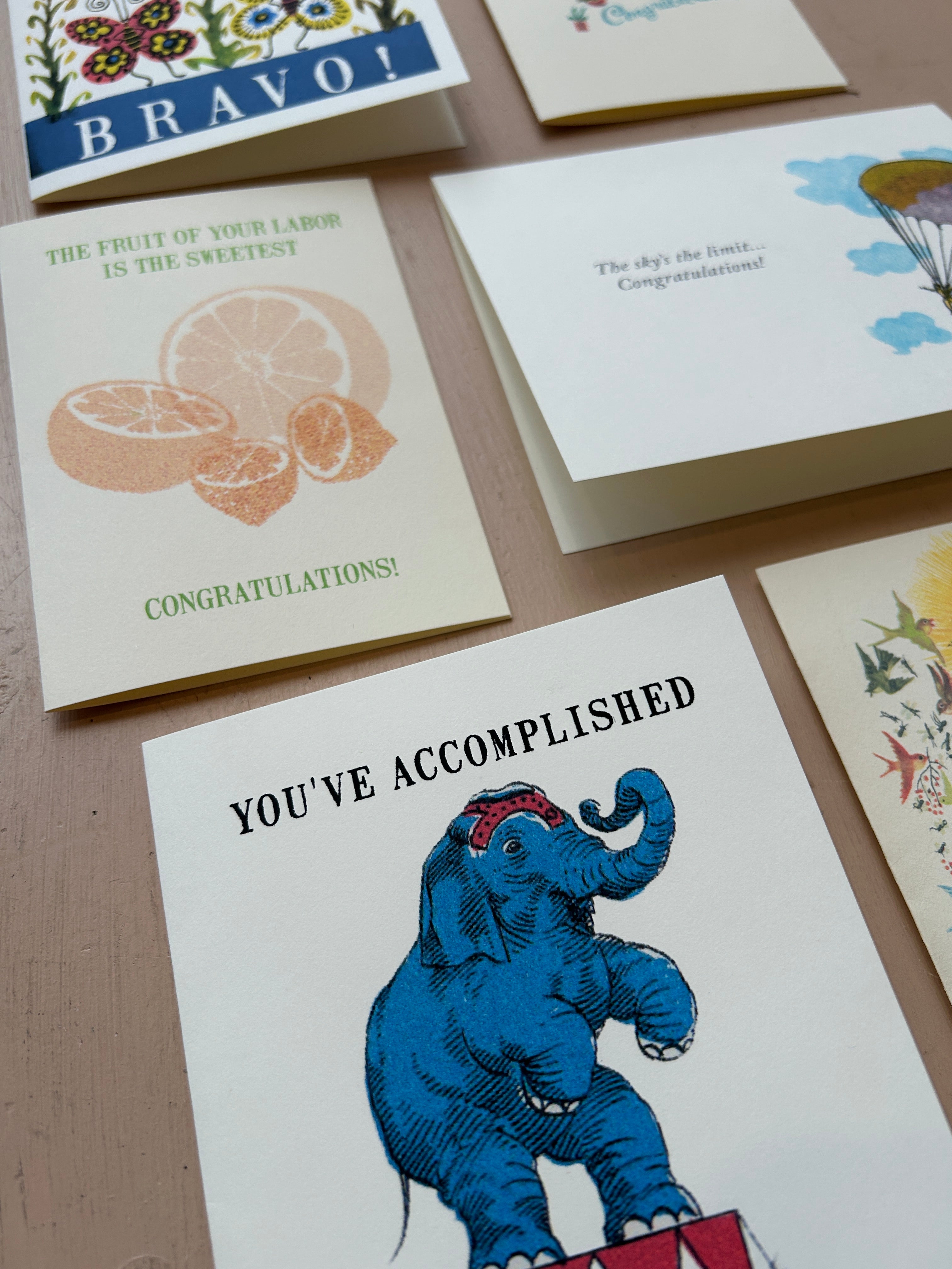 Celebration Greeting Card Assortment - PARCEL