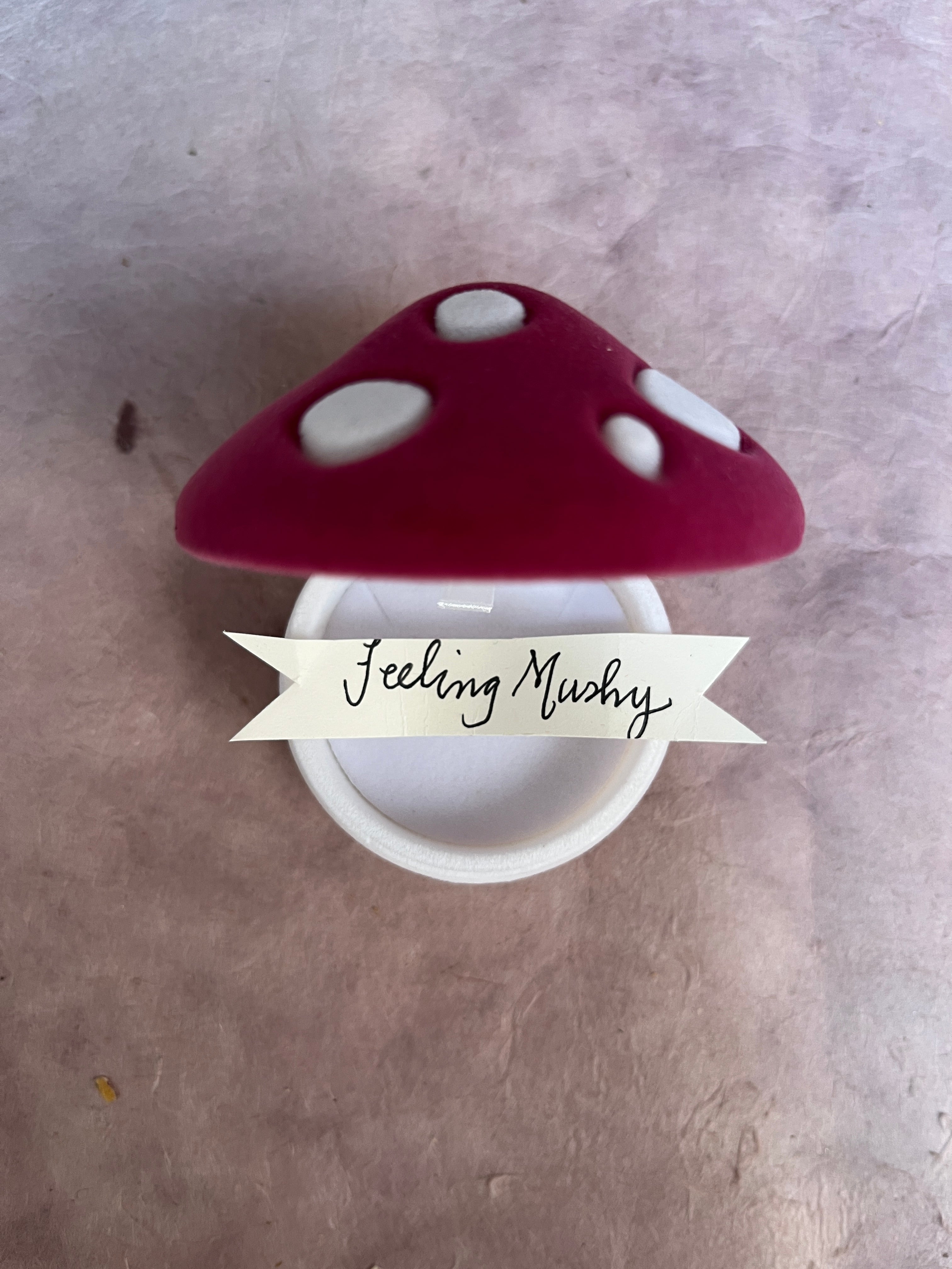 Feeling Mushy Flocked Mushroom Ring Box - PARCEL