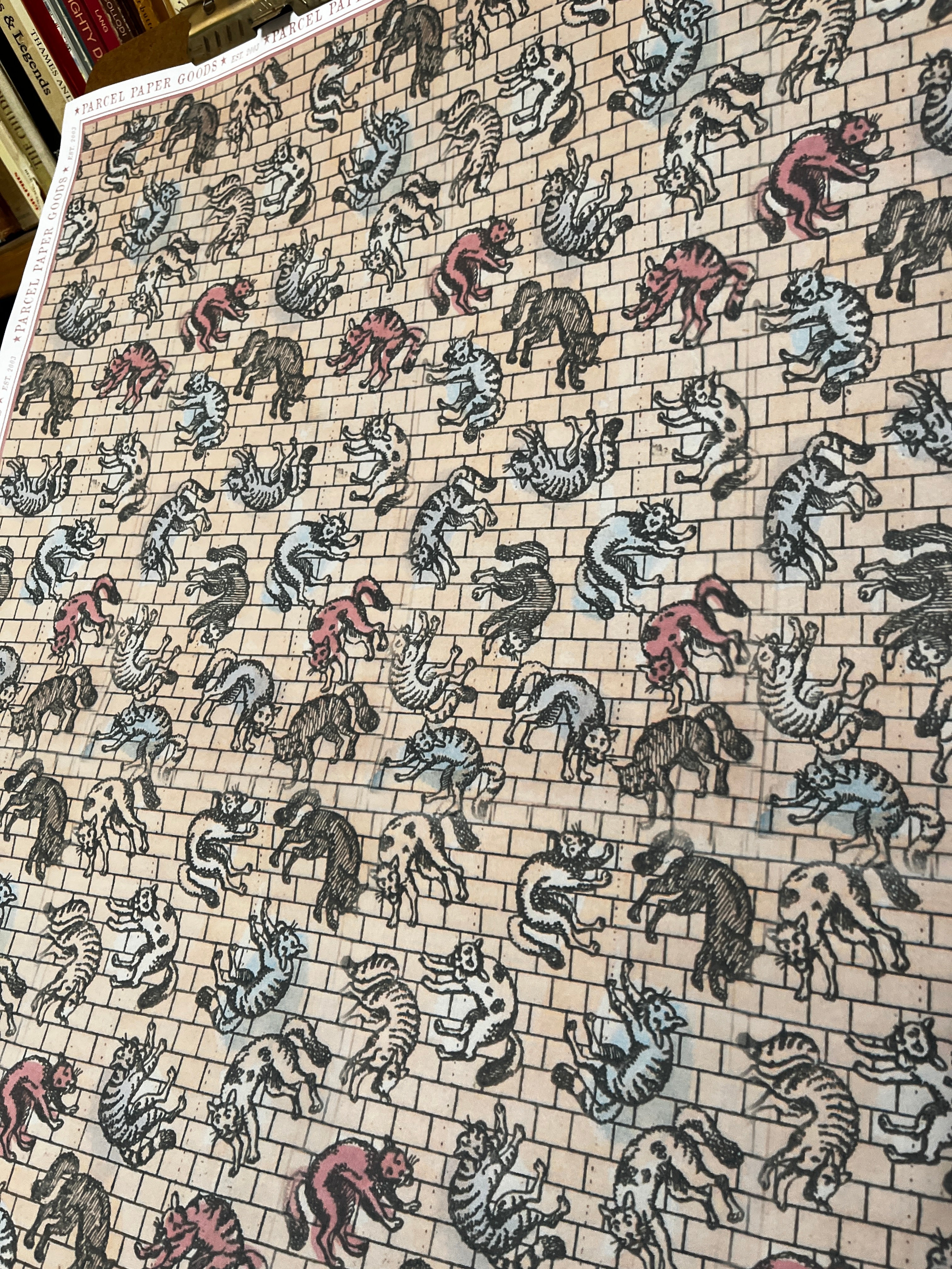 Parcel Artisan Wrapping Paper, Falling Cats - PARCEL