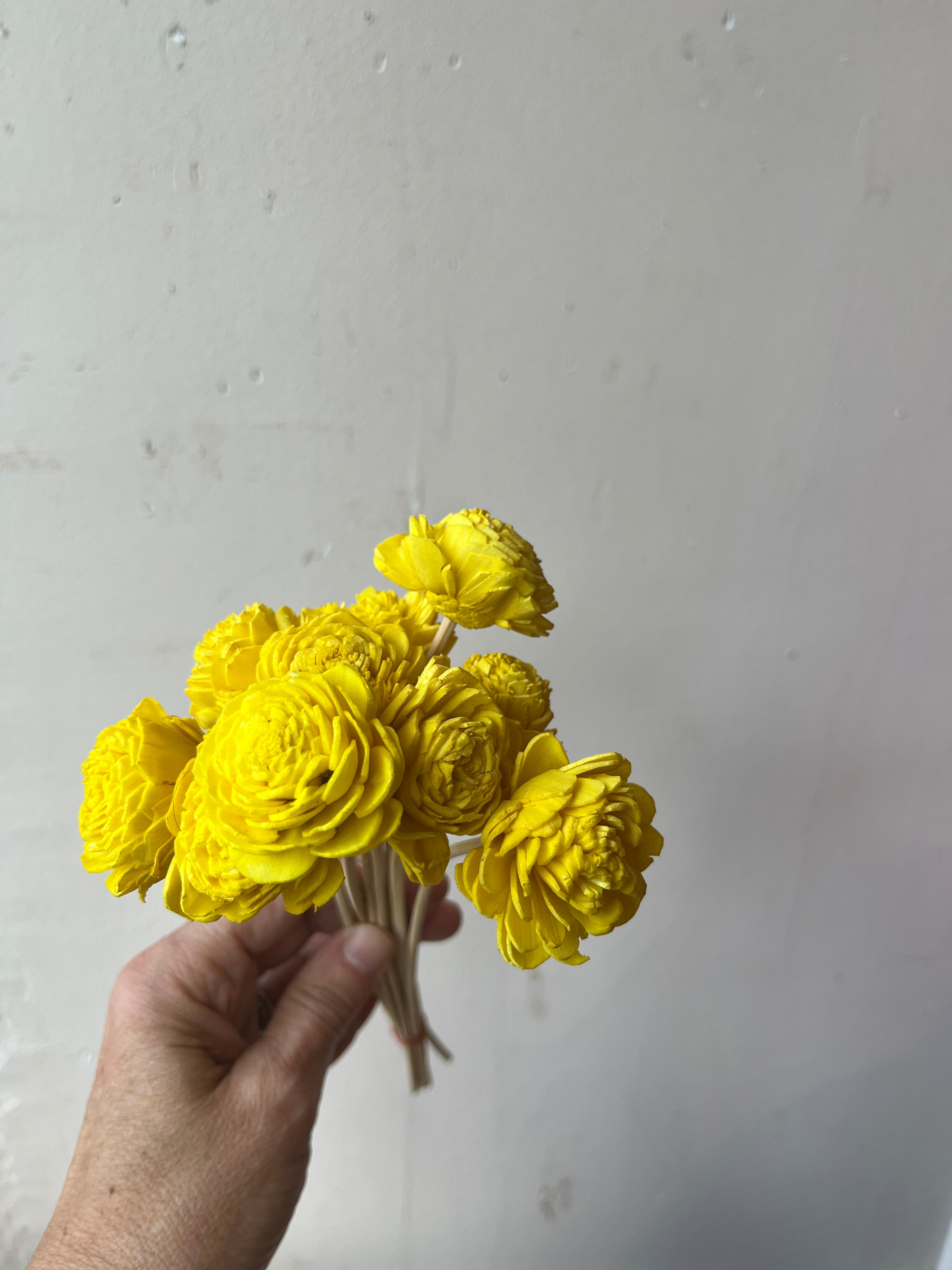 Bright Paper Flowers - PARCEL