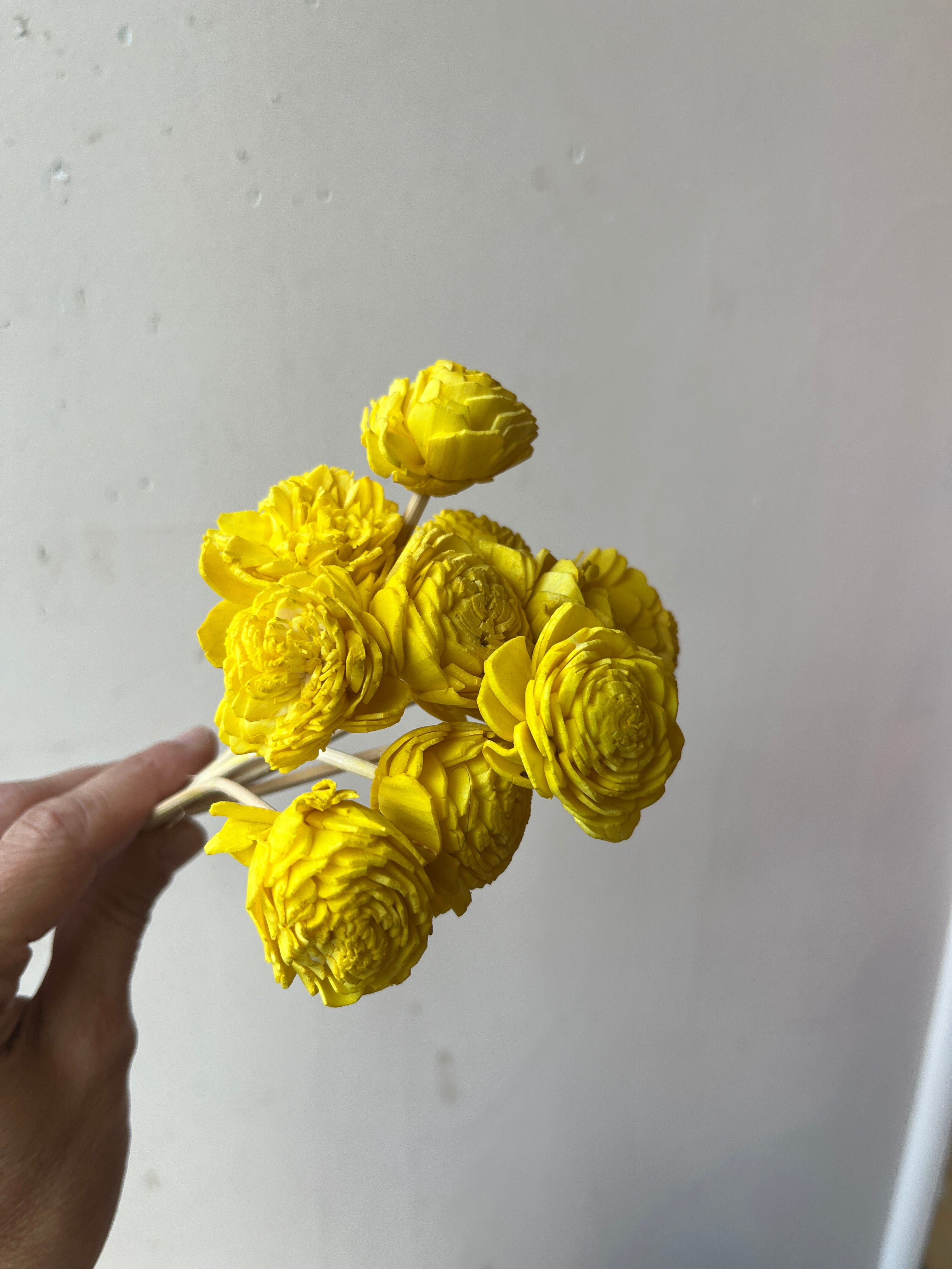 Bright Paper Flowers - PARCEL