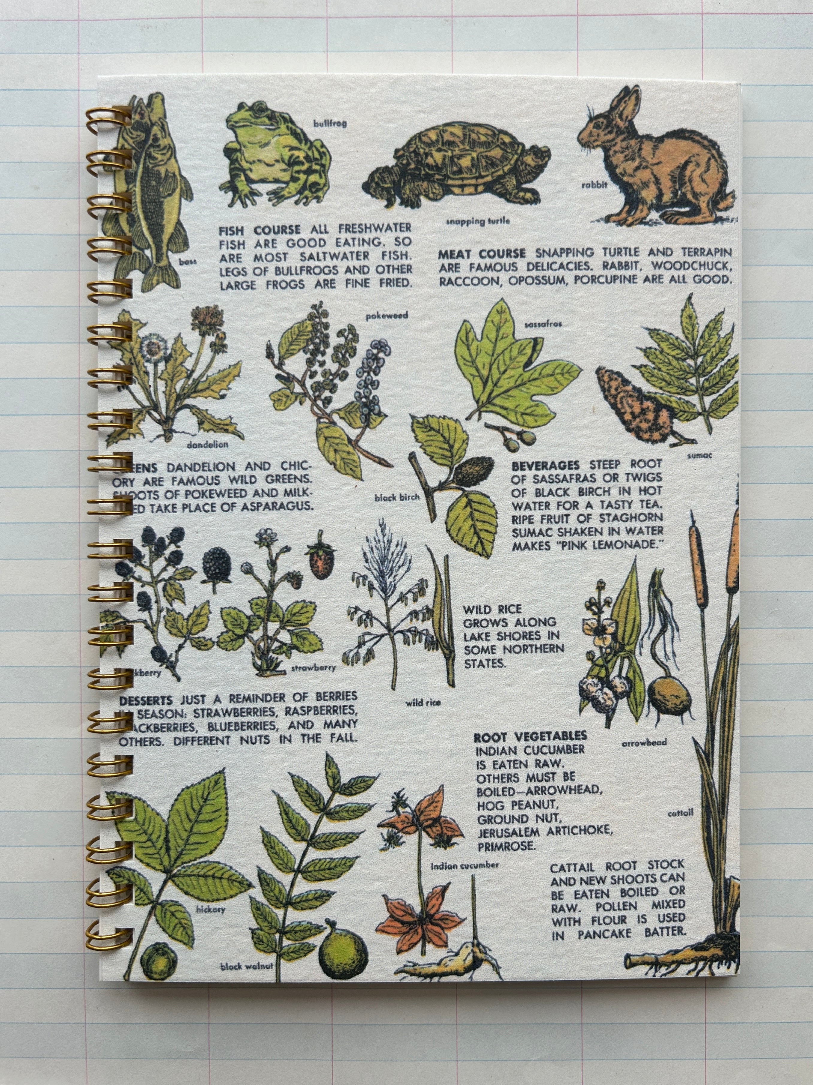 Wildlife Forager Notebook - PARCEL