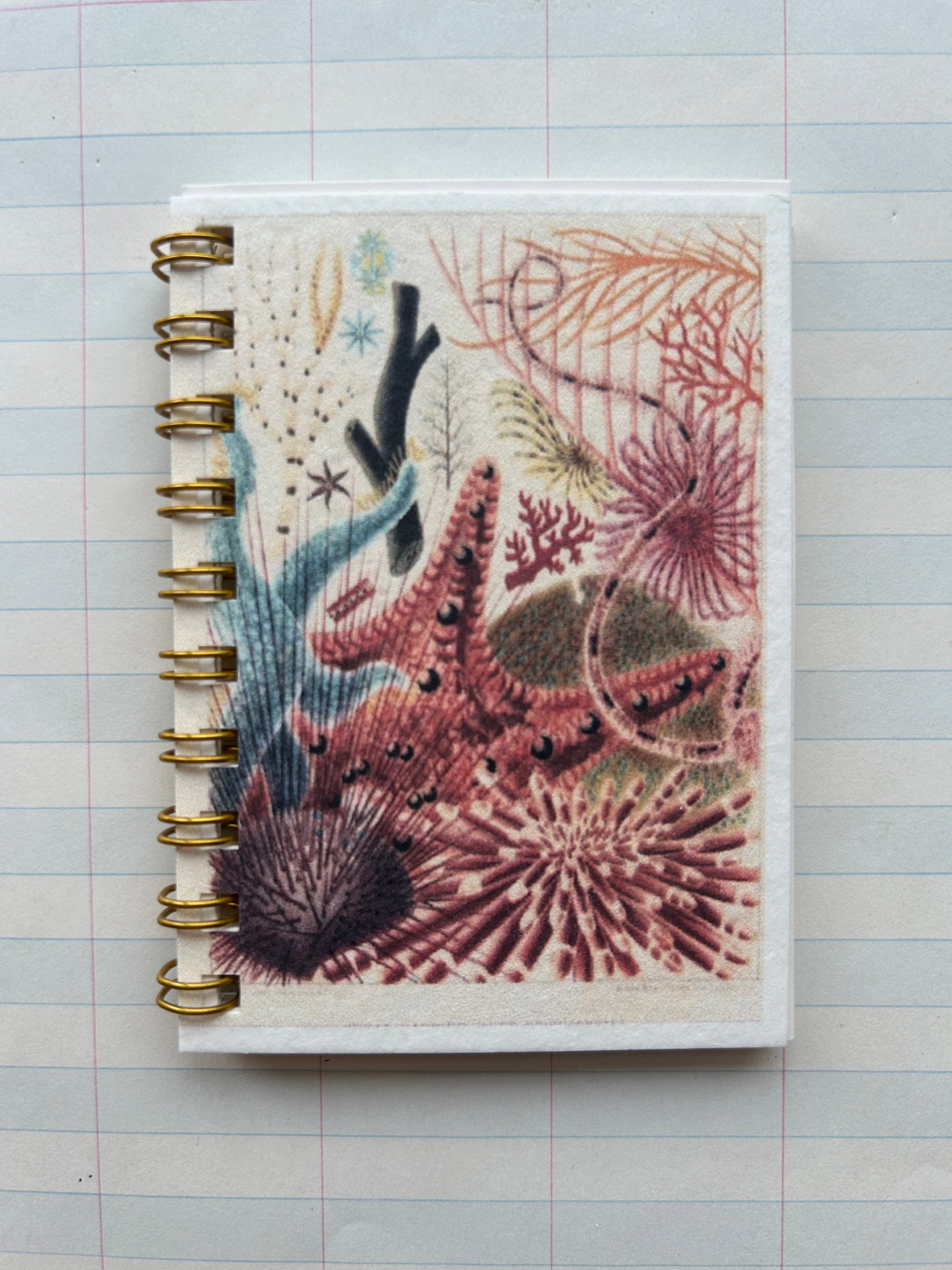 Ocean Life Teeny Tiny Pocket Notebook - PARCEL