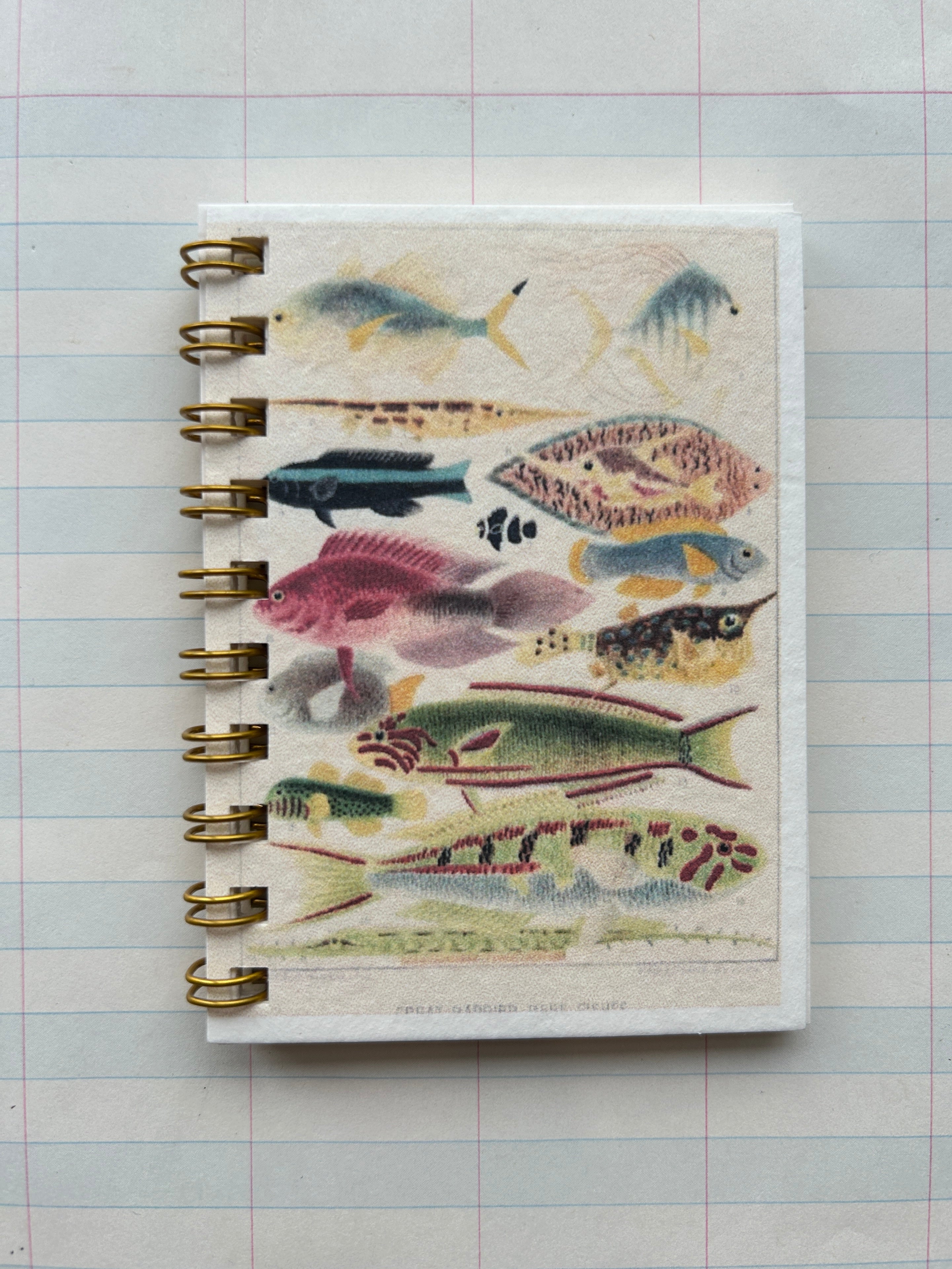 Ocean Life Teeny Tiny Pocket Notebook - PARCEL