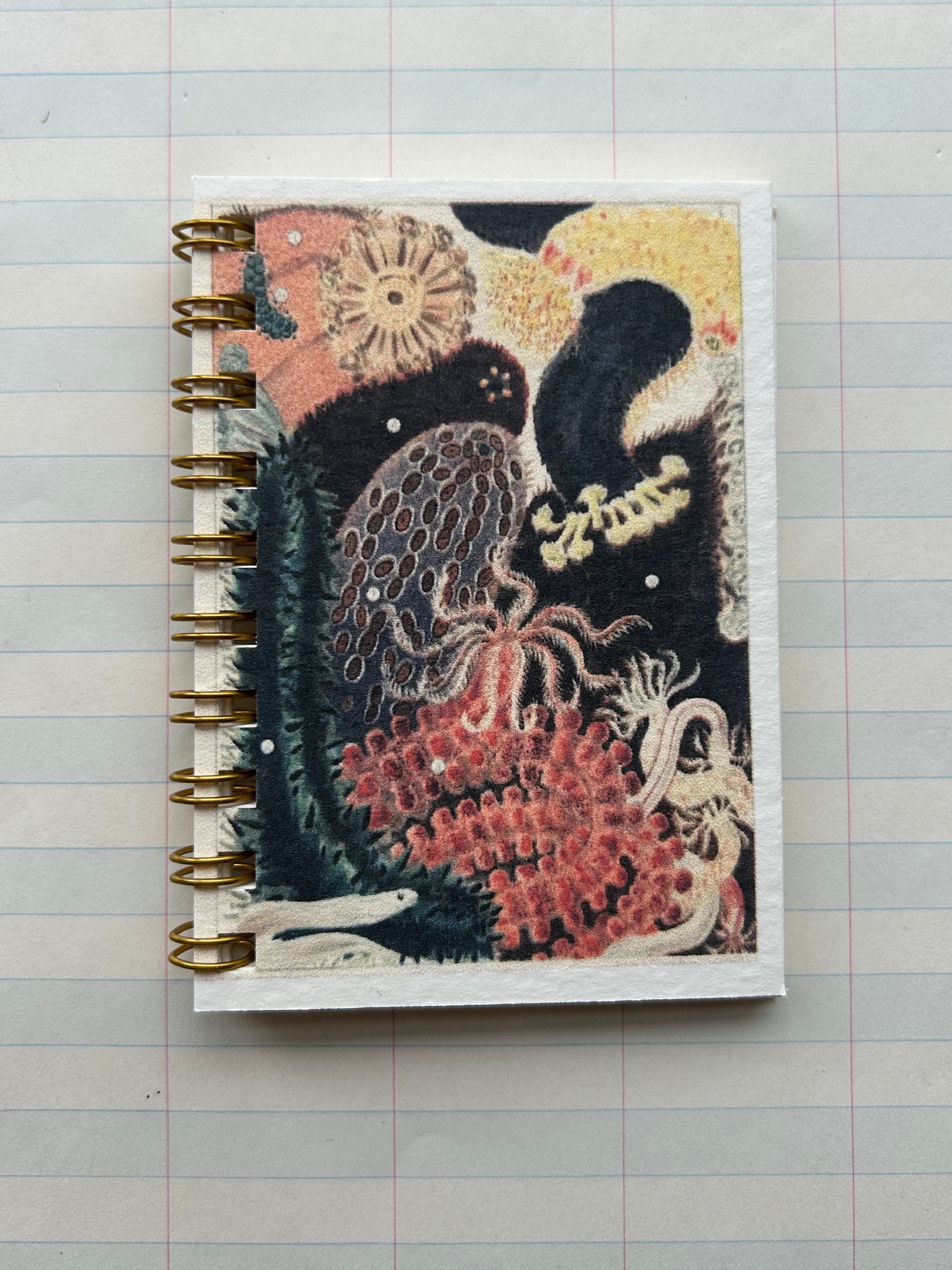Ocean Life Teeny Tiny Pocket Notebook - PARCEL