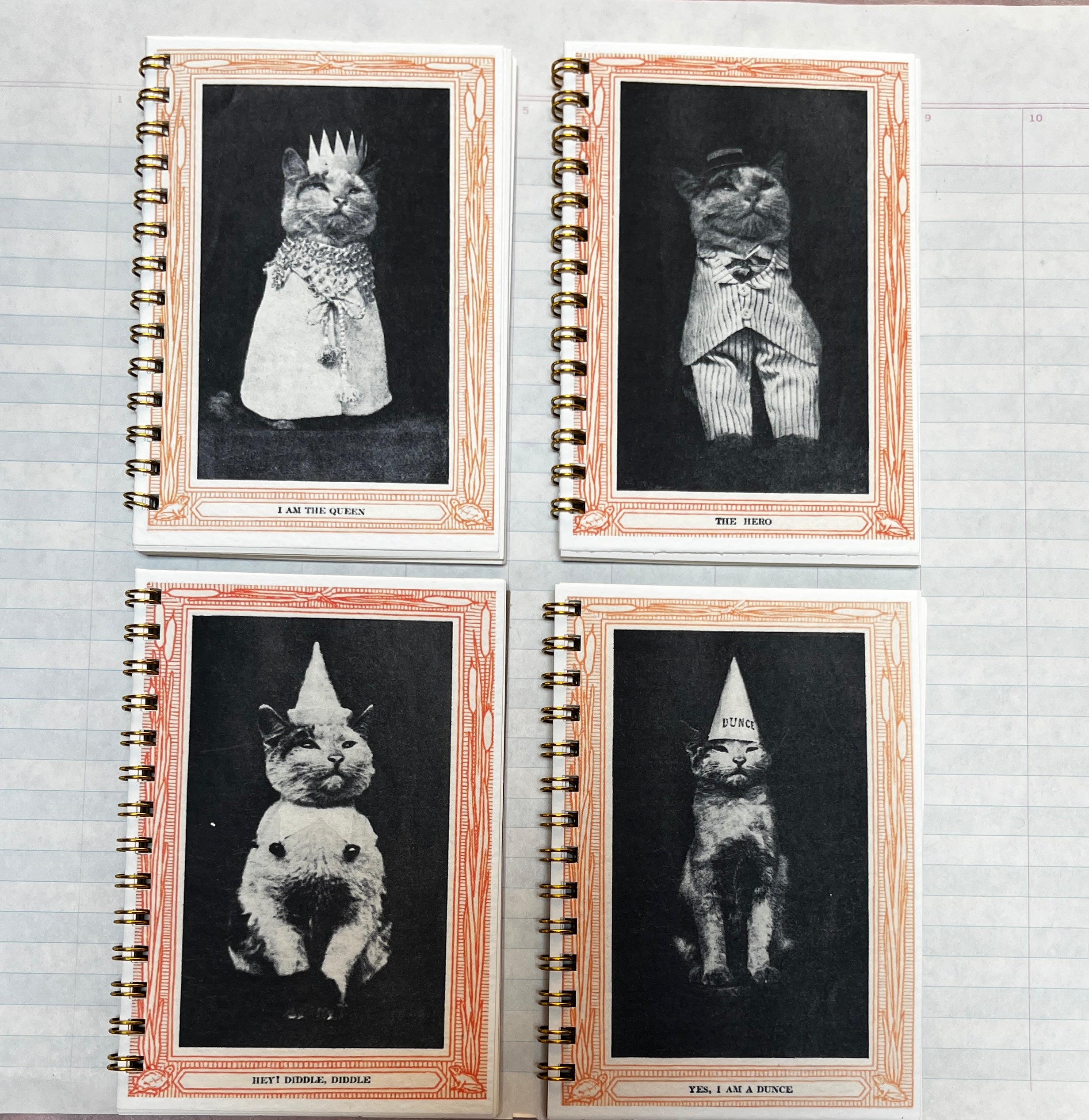 Cool Cat Portrait Mini Notebooks - PARCEL