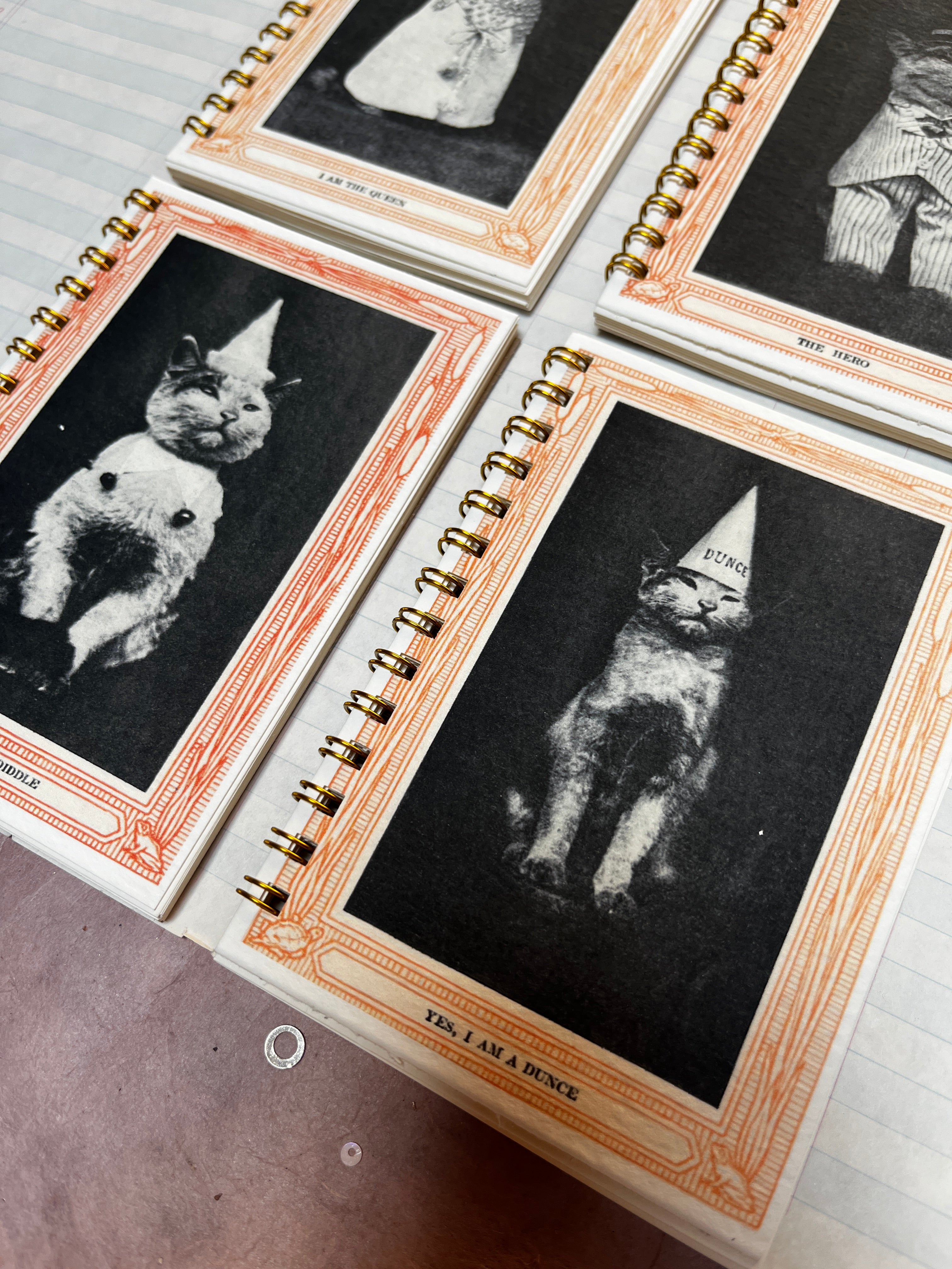 Cool Cat Portrait Mini Notebooks - PARCEL