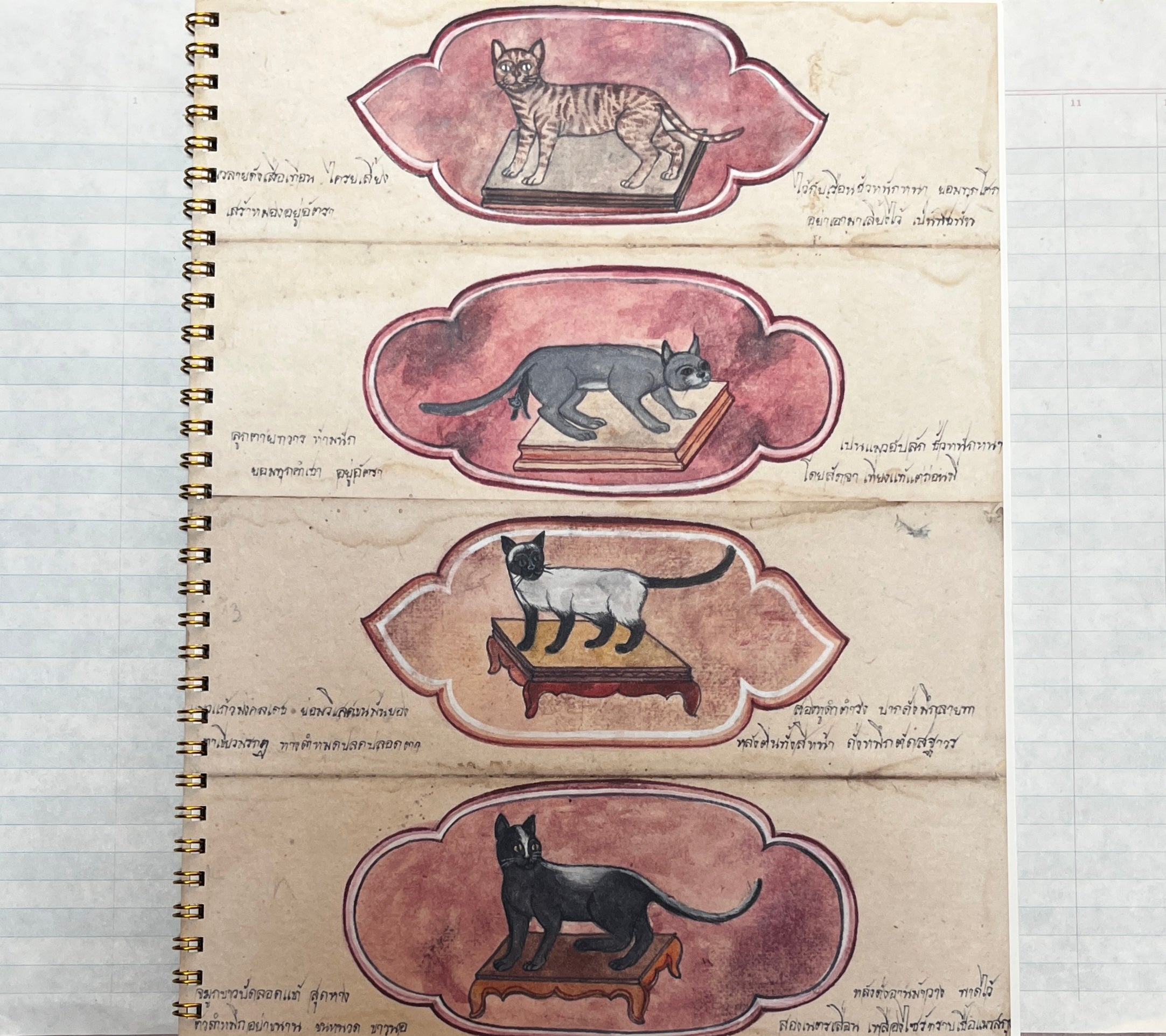 Primitive Cats Notebook - PARCEL