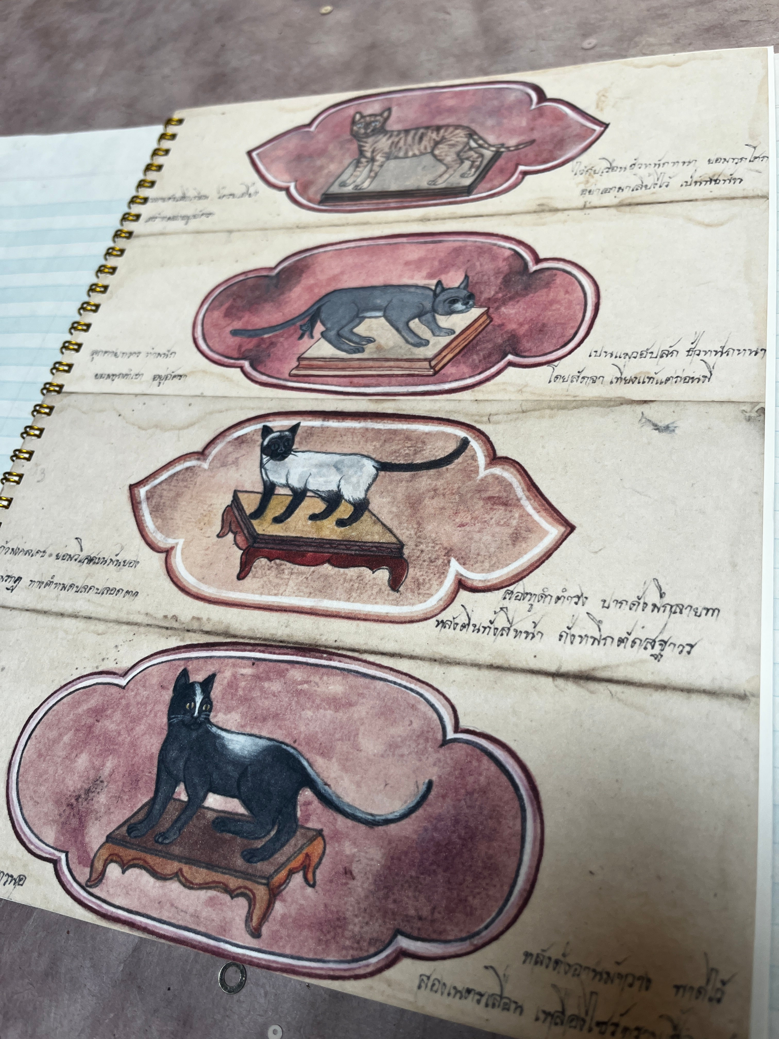 Primitive Cats Notebook - PARCEL