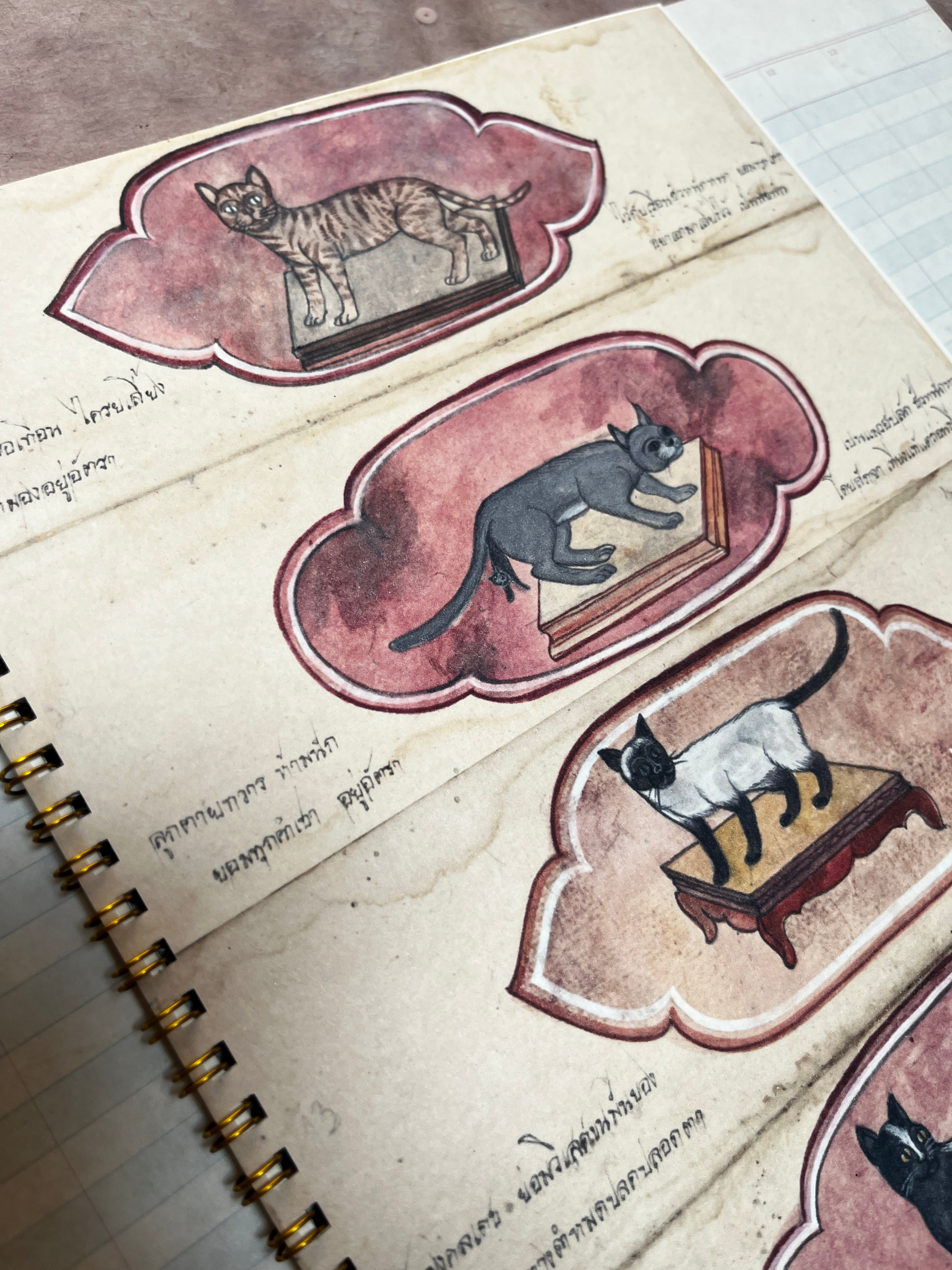 Primitive Cats Notebook - PARCEL