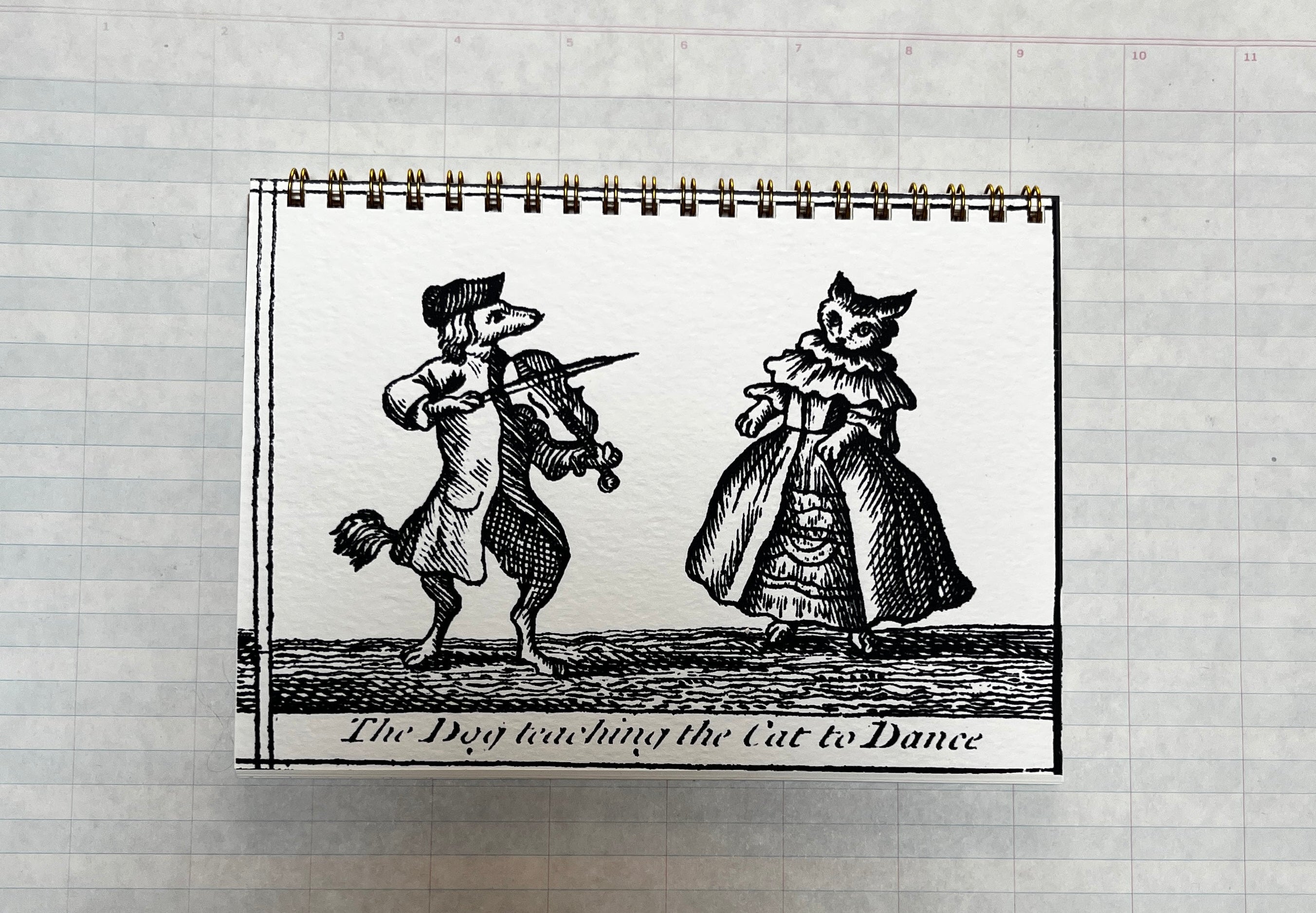 The Dog Teaching the Cat to Dance Notebook - PARCEL