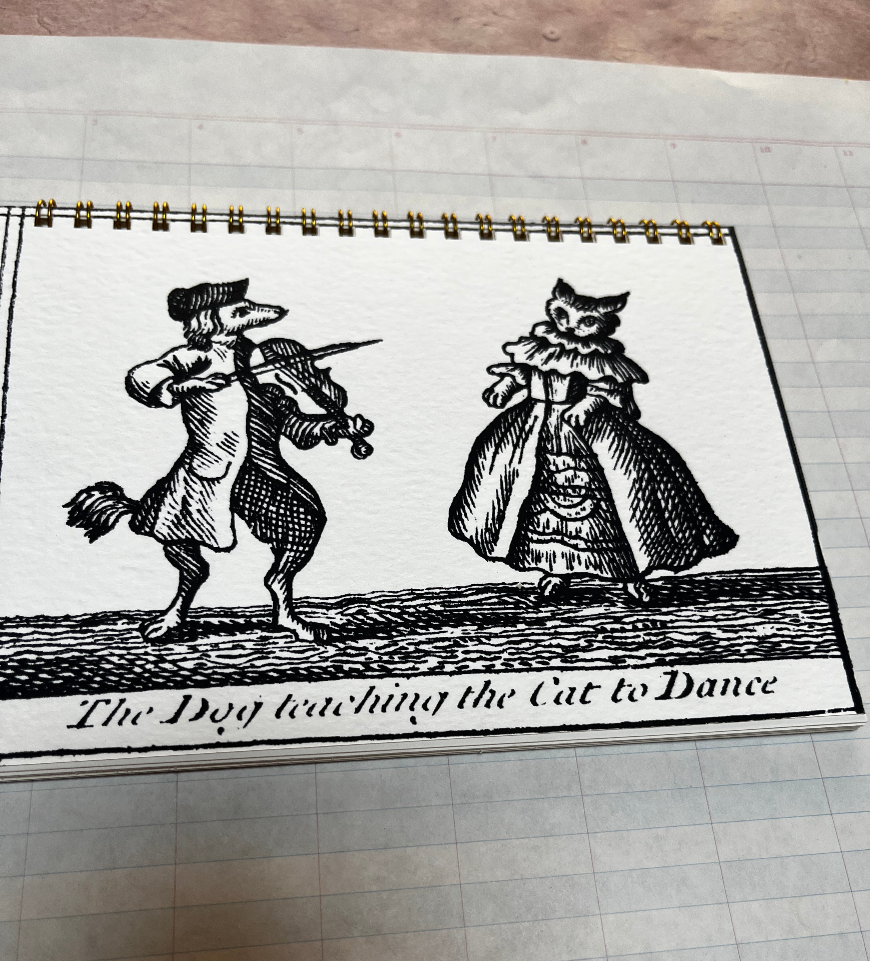 The Dog Teaching the Cat to Dance Notebook - PARCEL