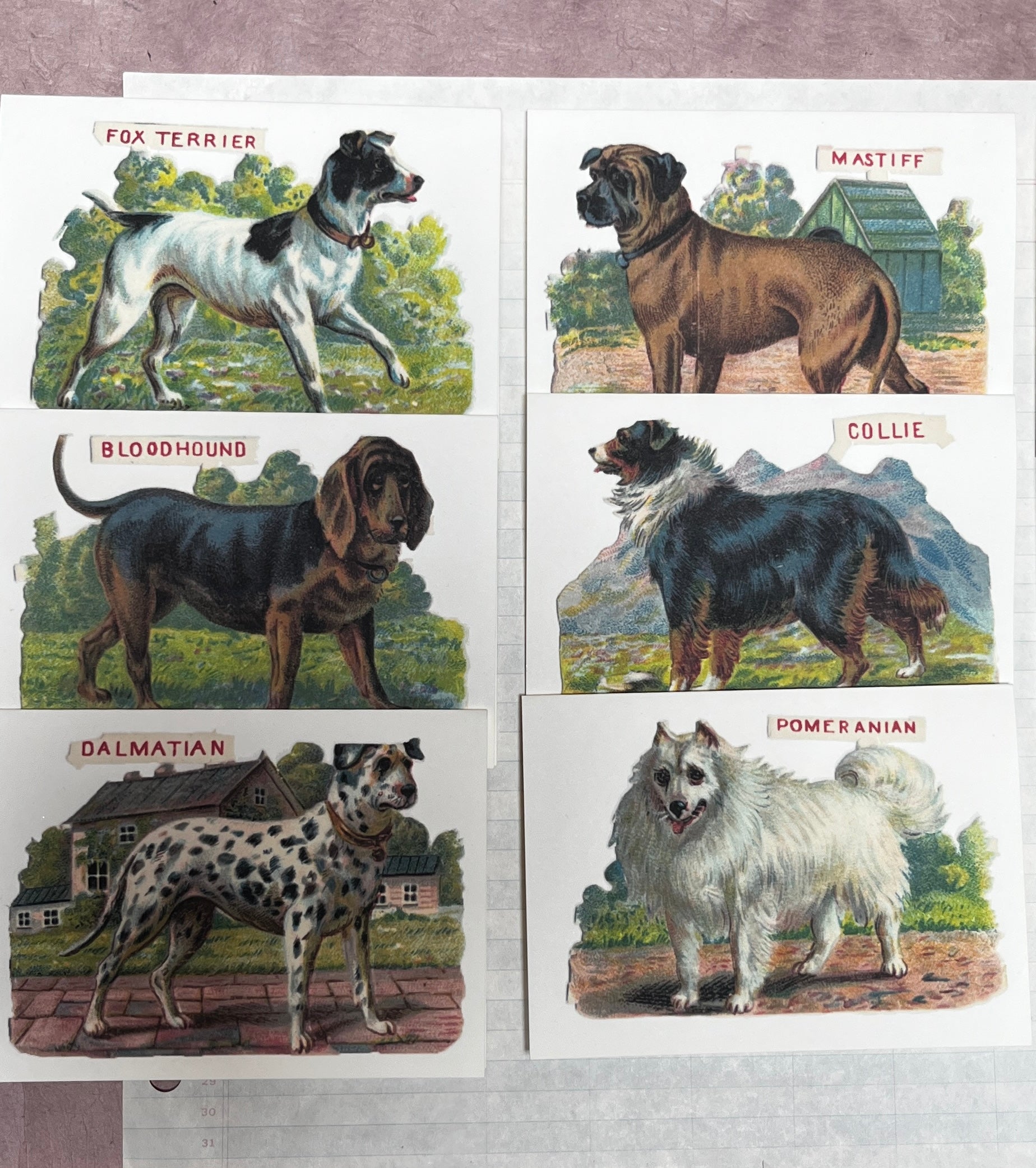Classic Canine Cards - PARCEL