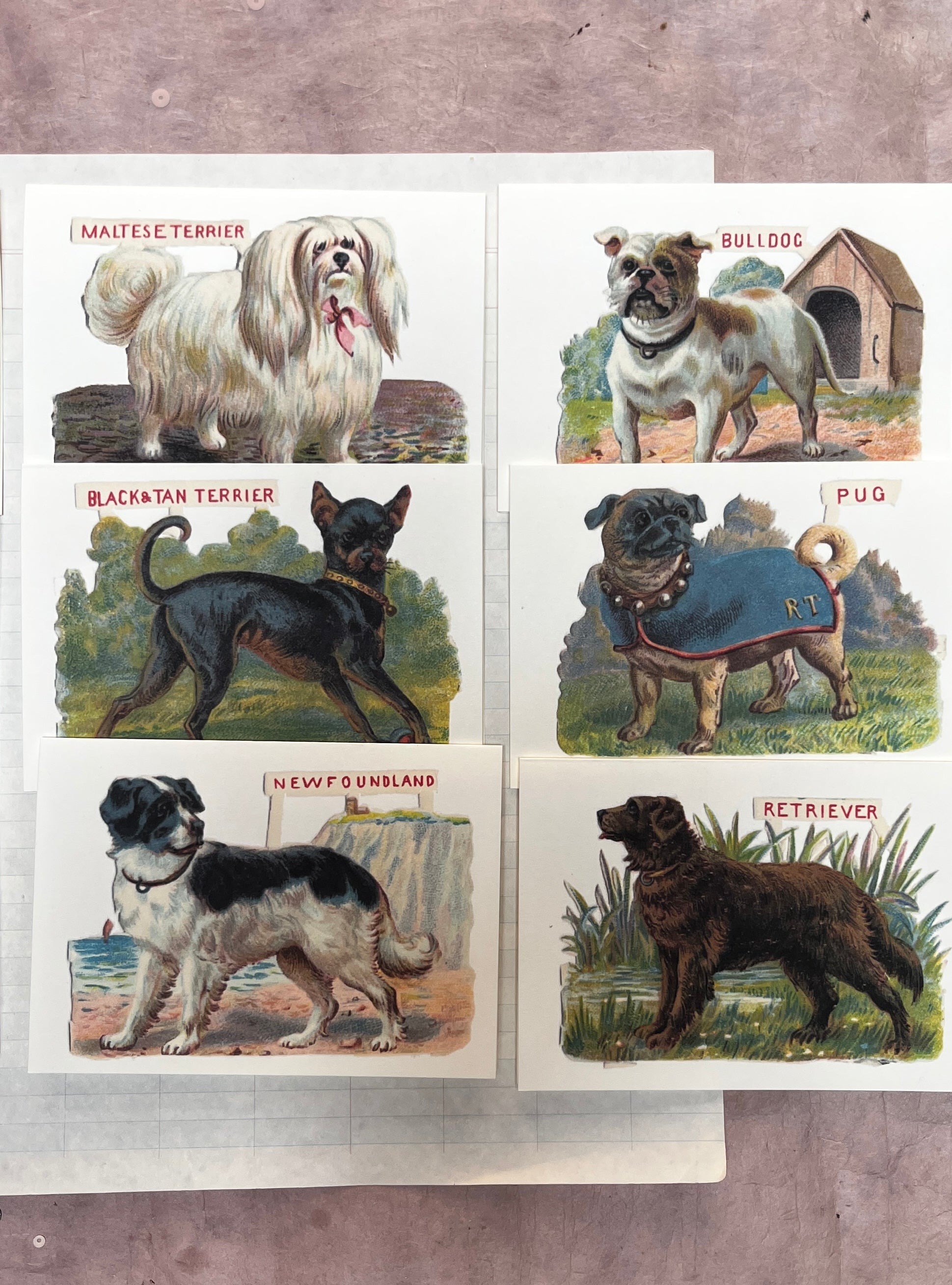 Classic Canine Cards - PARCEL