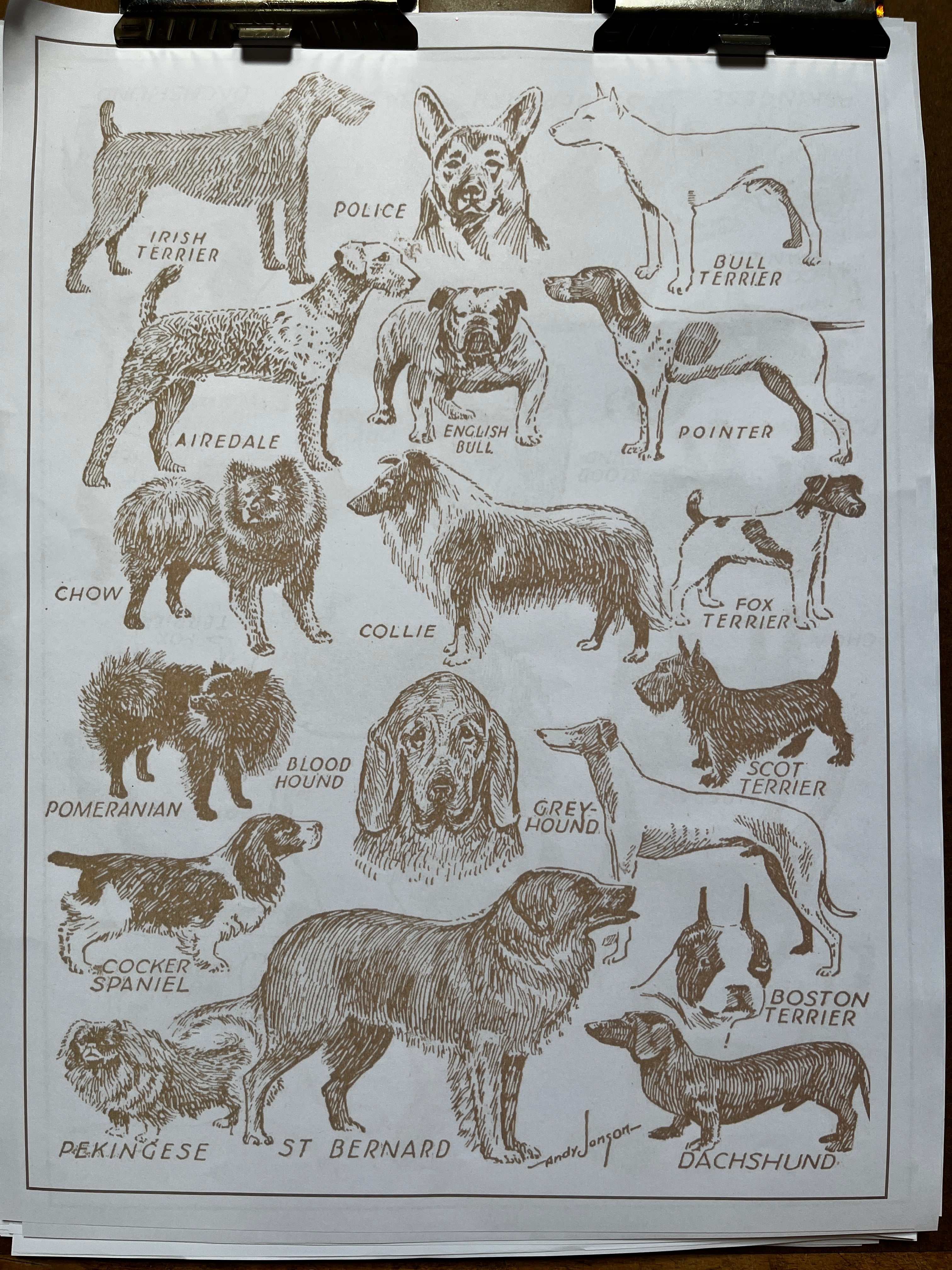 Parcel Artisan Wrapping Paper, Dog Breeds - PARCEL