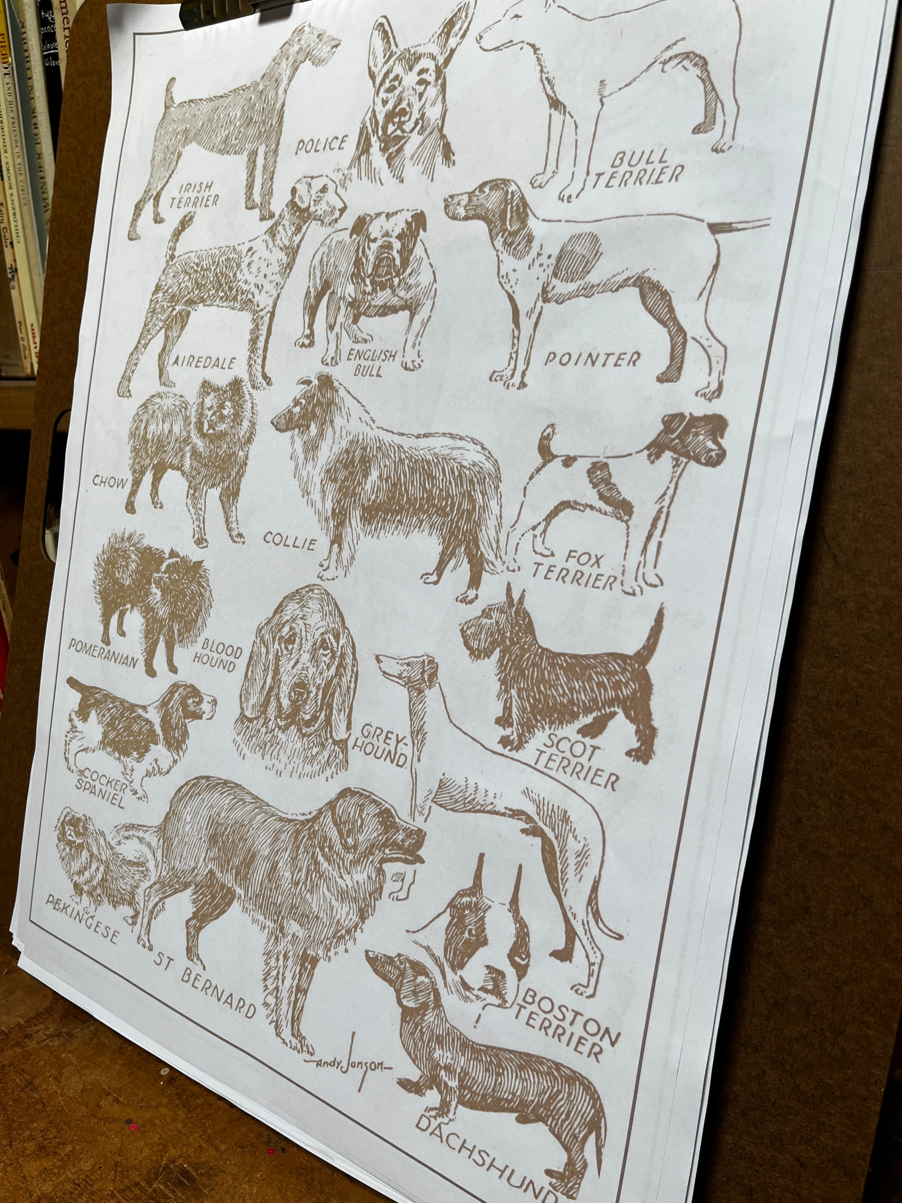 Parcel Artisan Wrapping Paper, Dog Breeds - PARCEL