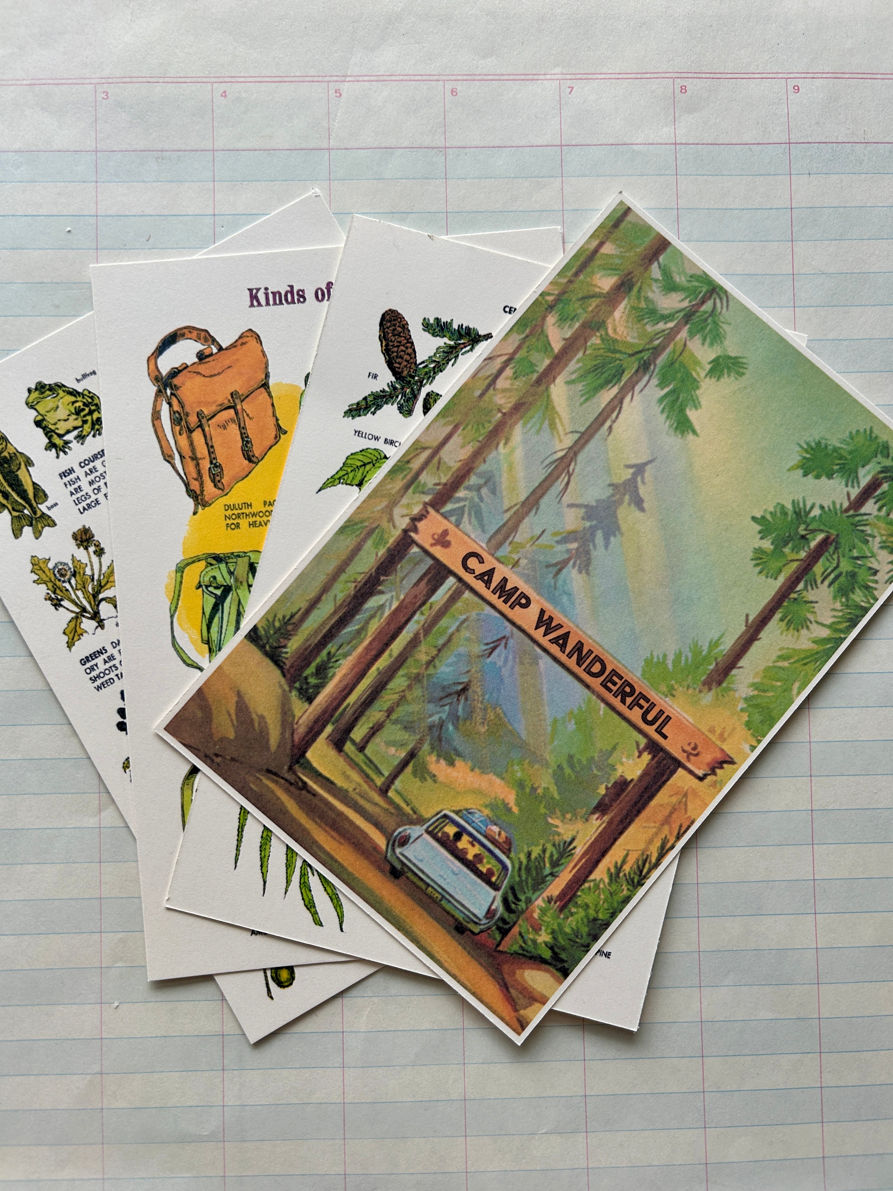 Camp Wanderful Post Card Set - PARCEL