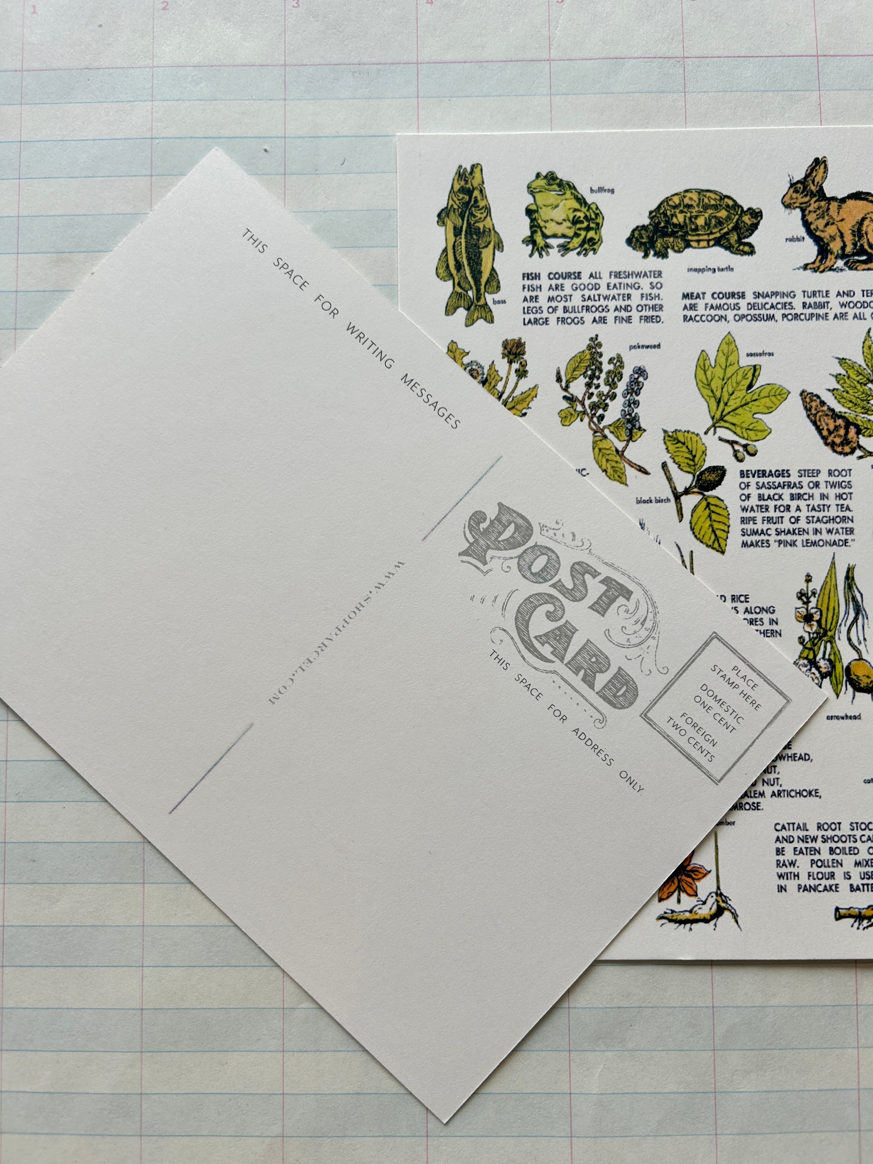 Camp Wanderful Post Card Set - PARCEL