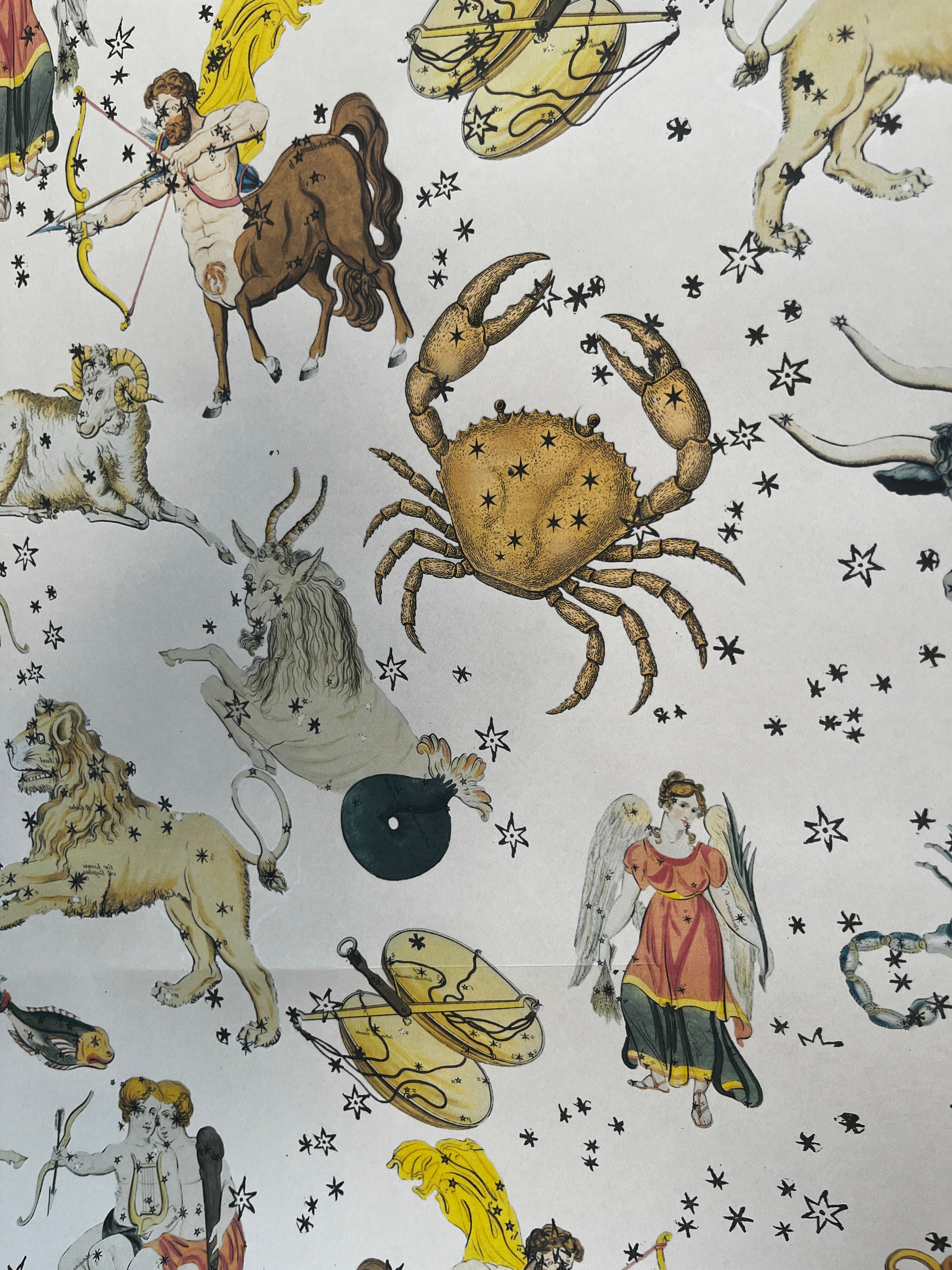 Parcel Artisan Wrapping Paper, Constellations