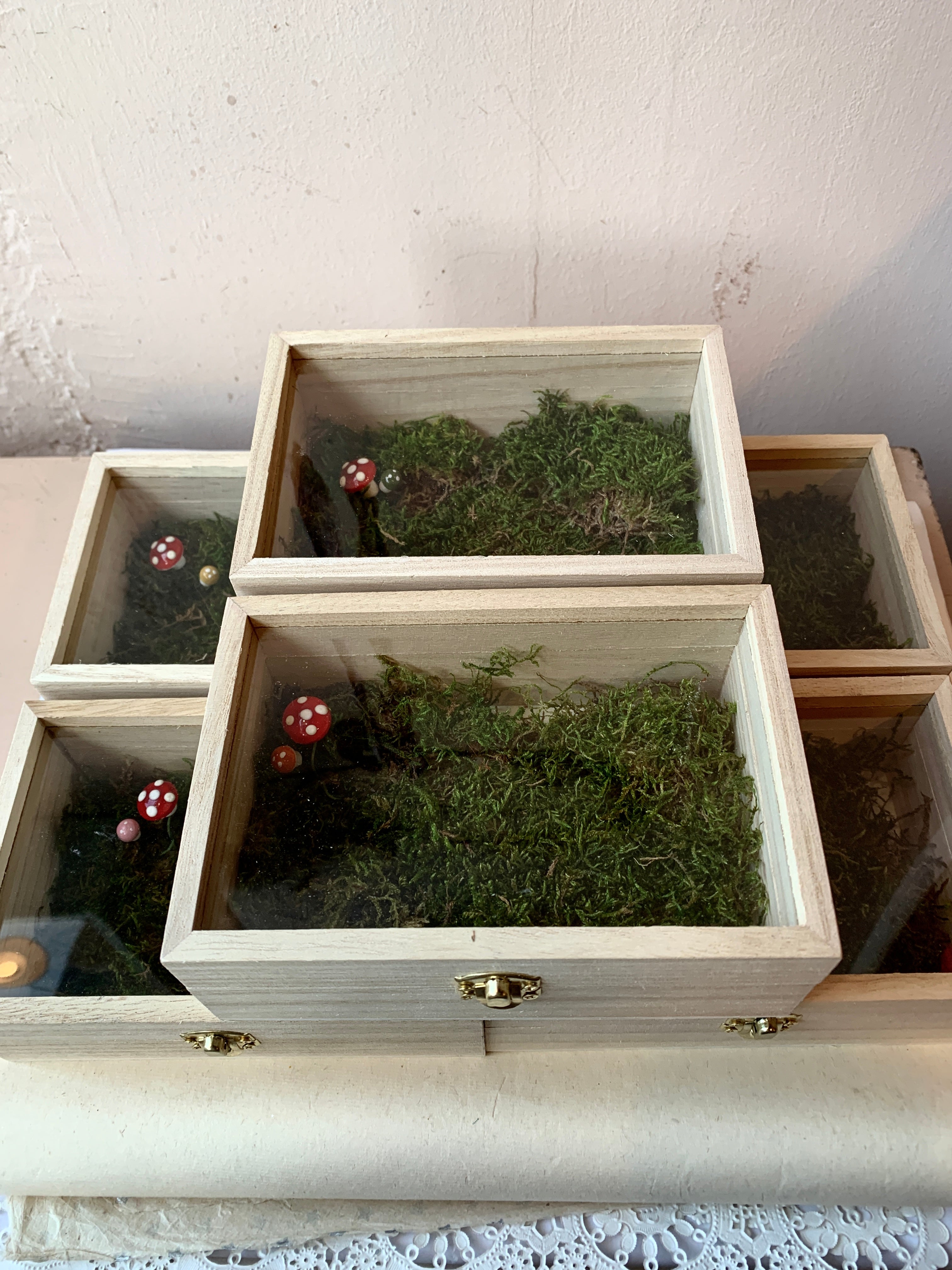 Mossy Memory Box - PARCEL