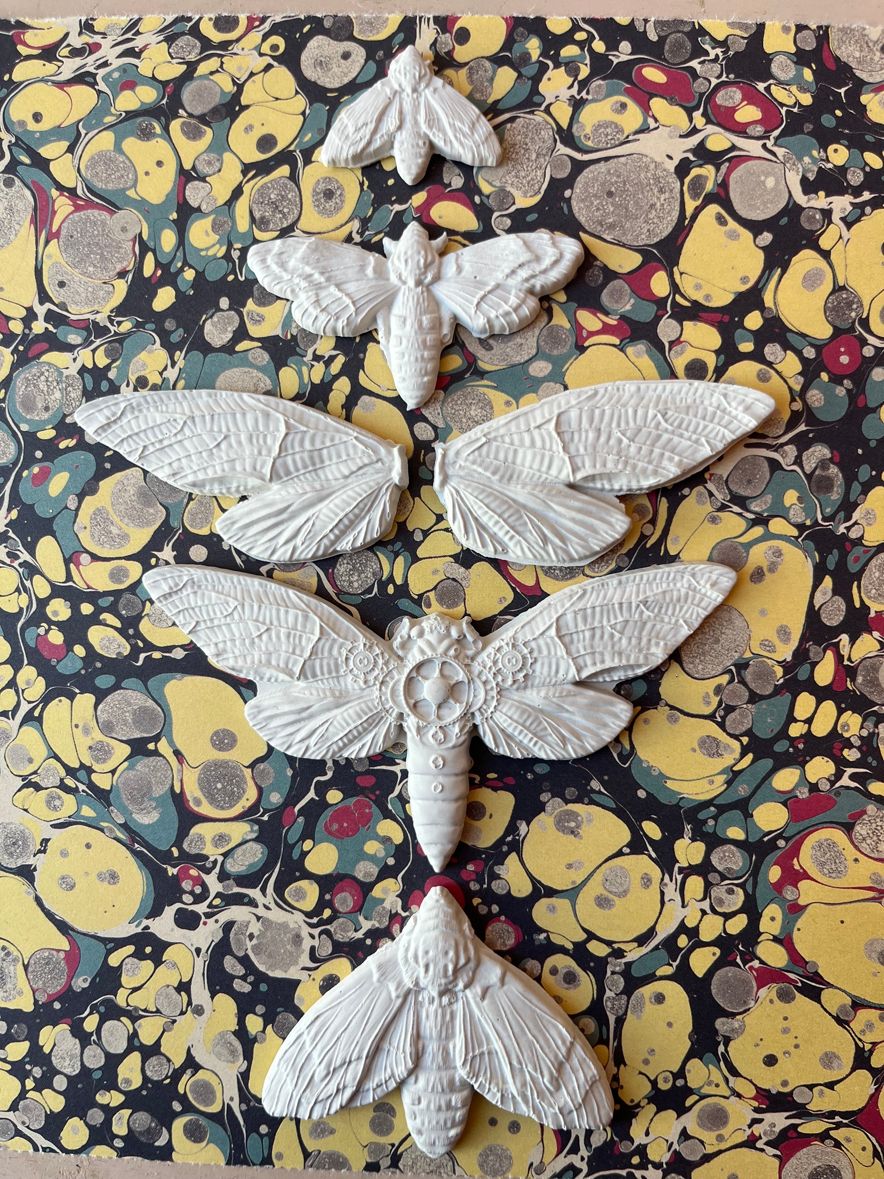 Buggy Plaster Token Set - PARCEL