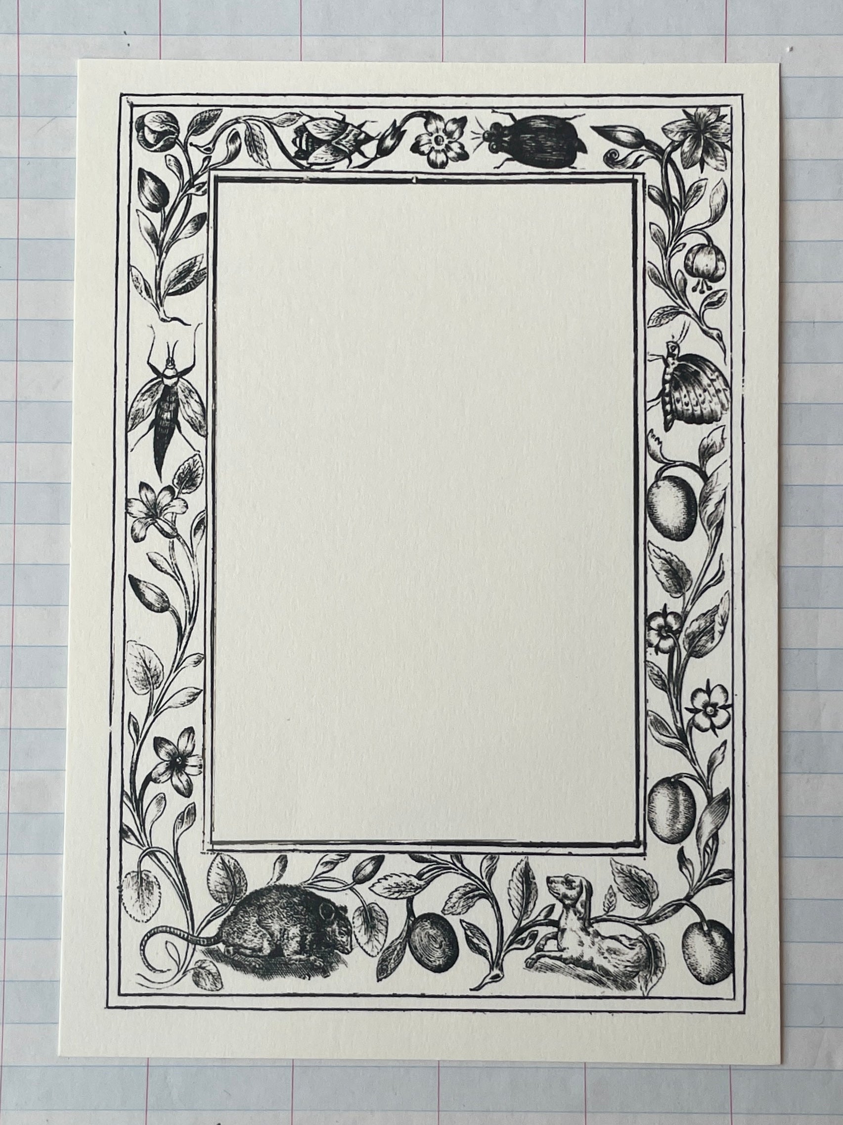 Naturalist Frames Printed Stationery - PARCEL