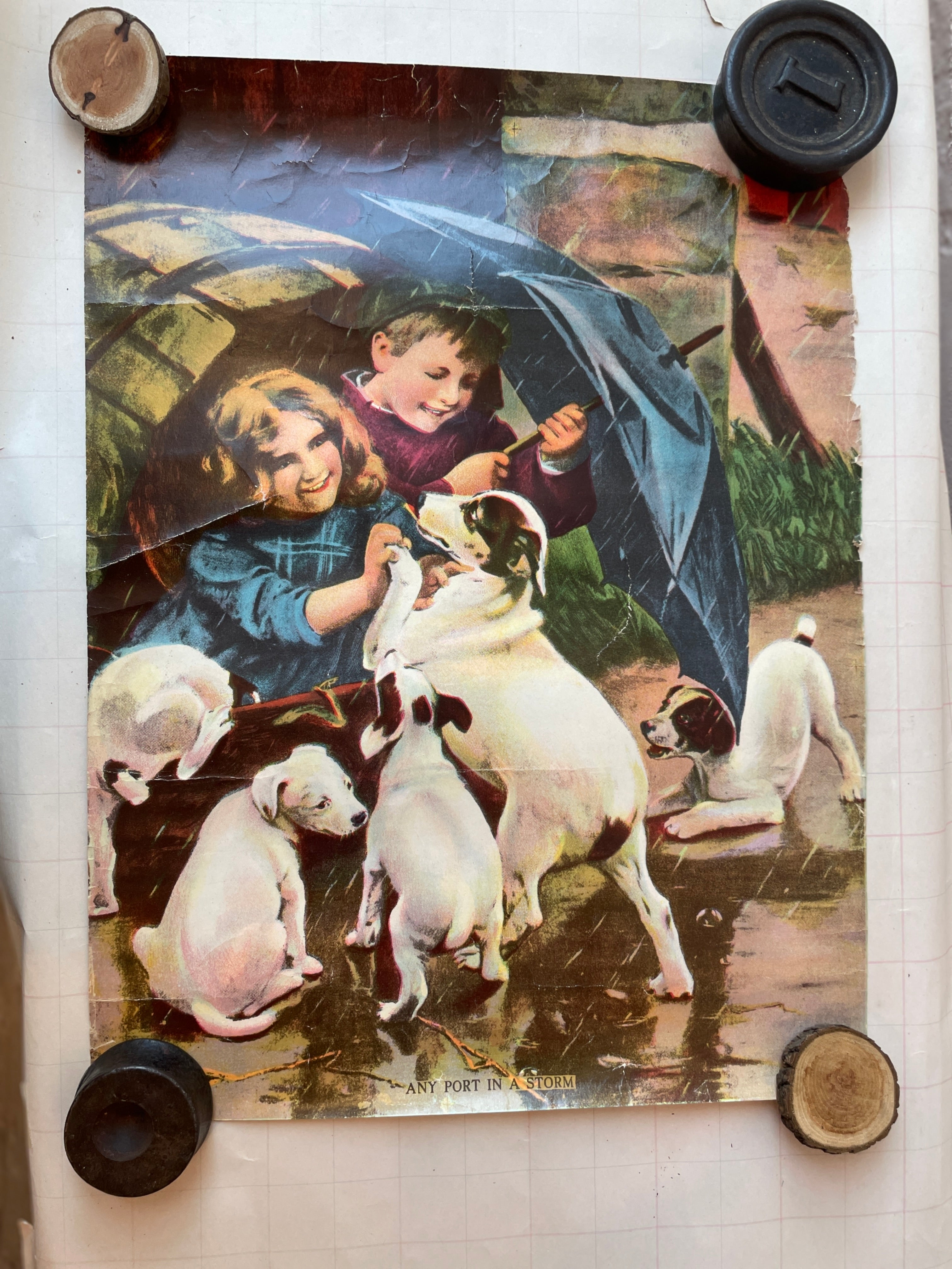 Any Port in a Storm - PARCEL