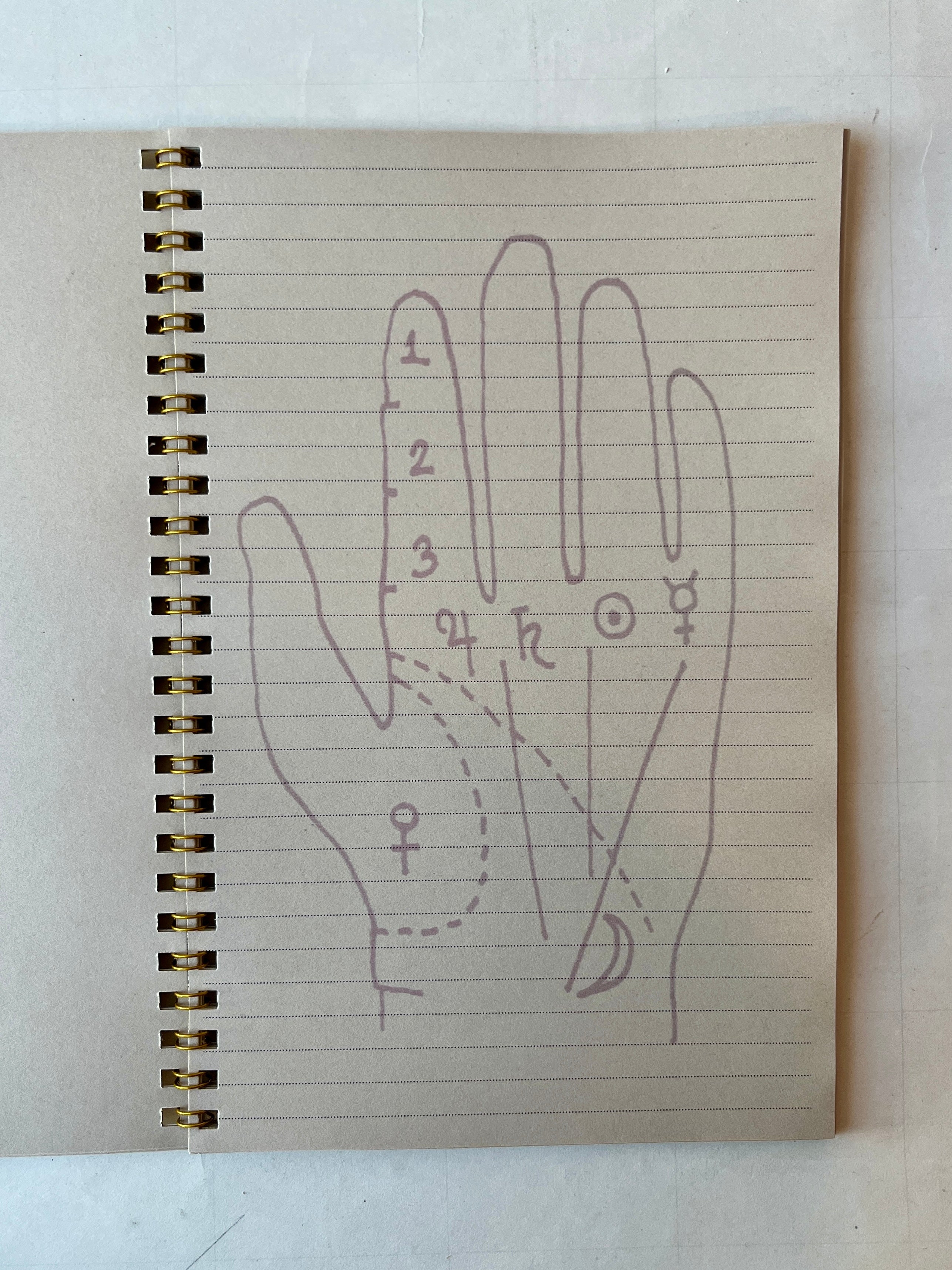 Palmistry Notebook - PARCEL