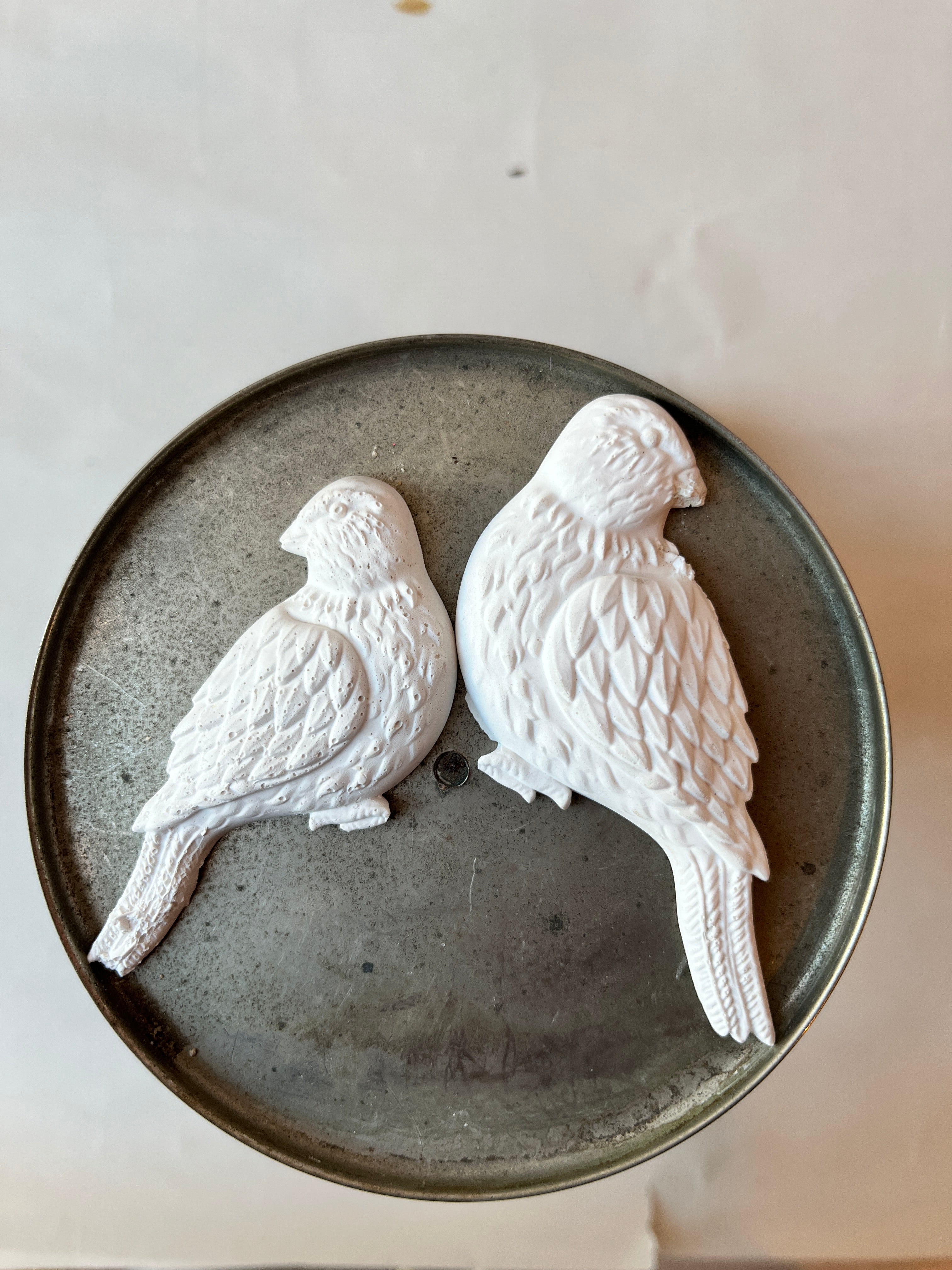 Plaster Bird Partners - PARCEL