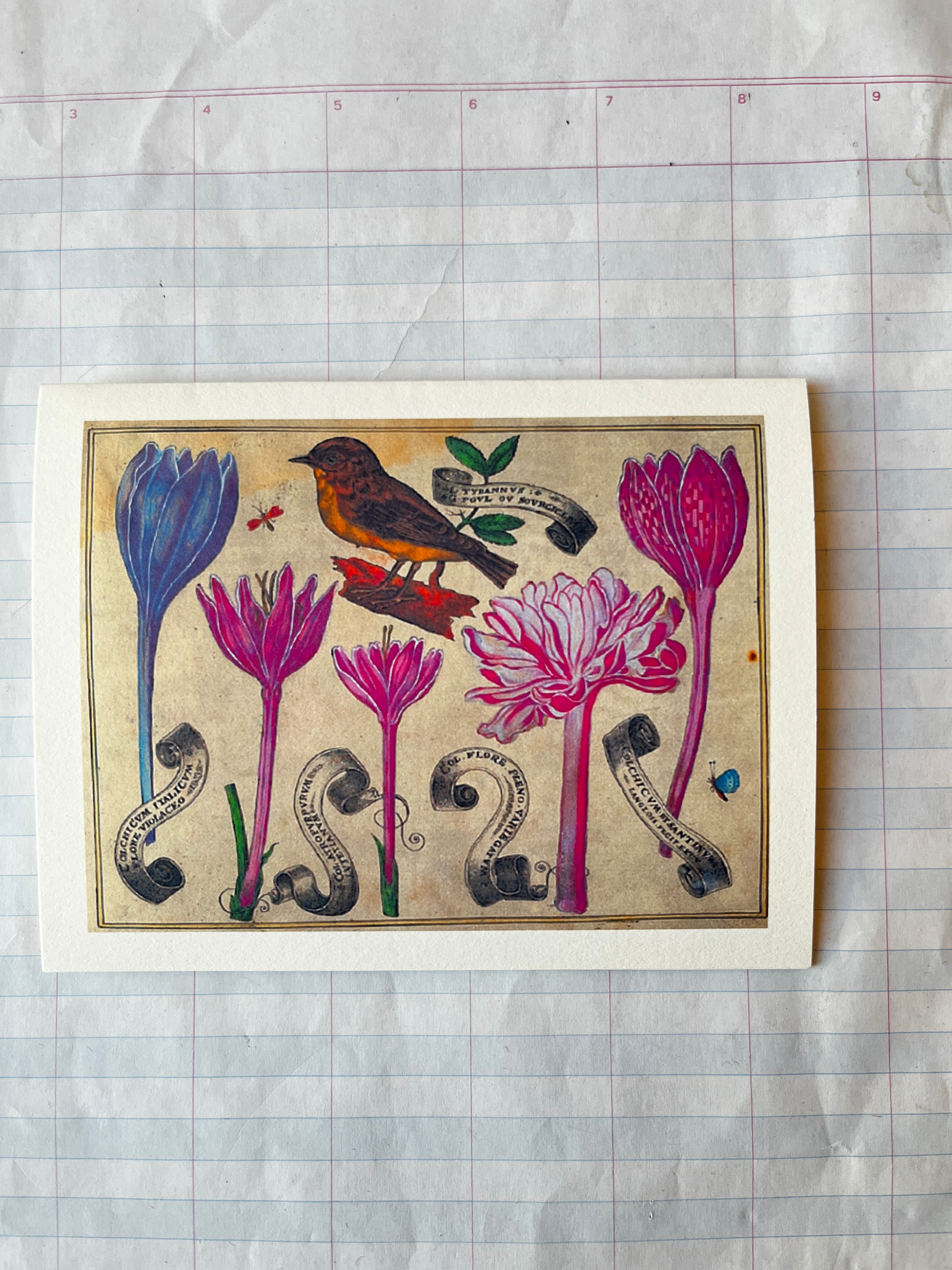 Bird and Flowers Folded Card Set - PARCEL