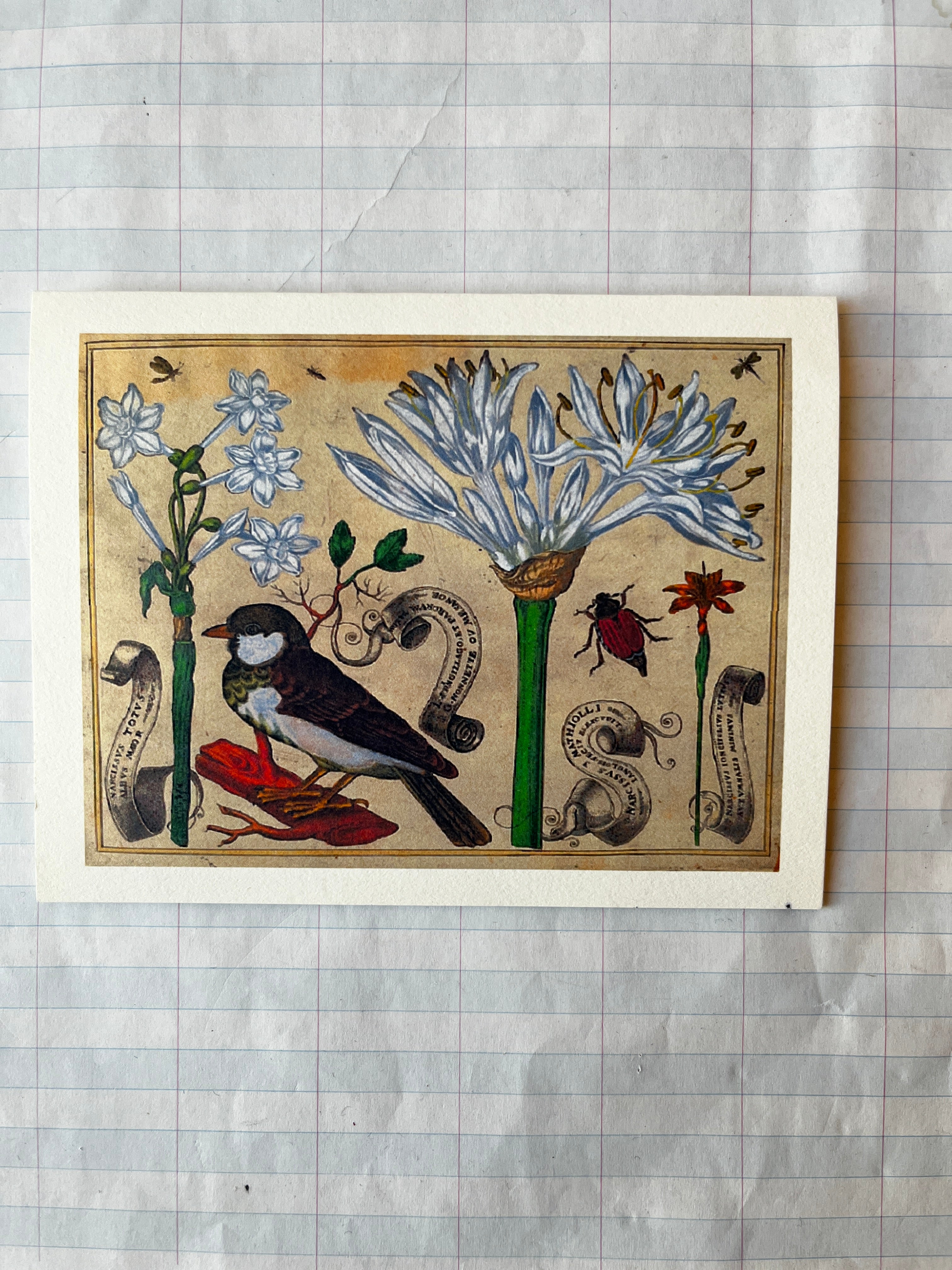 Bird and Flowers Folded Card Set - PARCEL