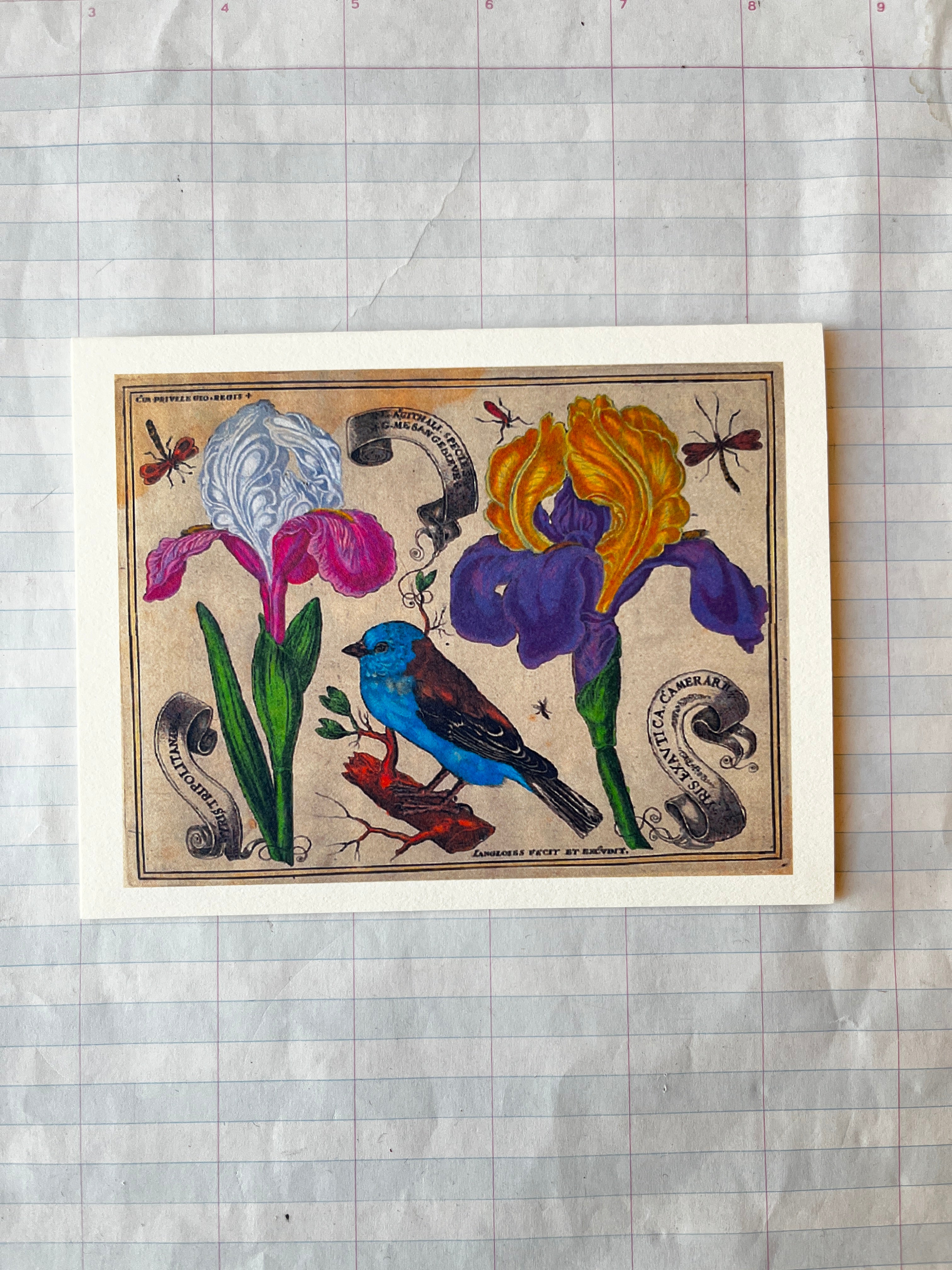 Bird and Flowers Folded Card Set - PARCEL