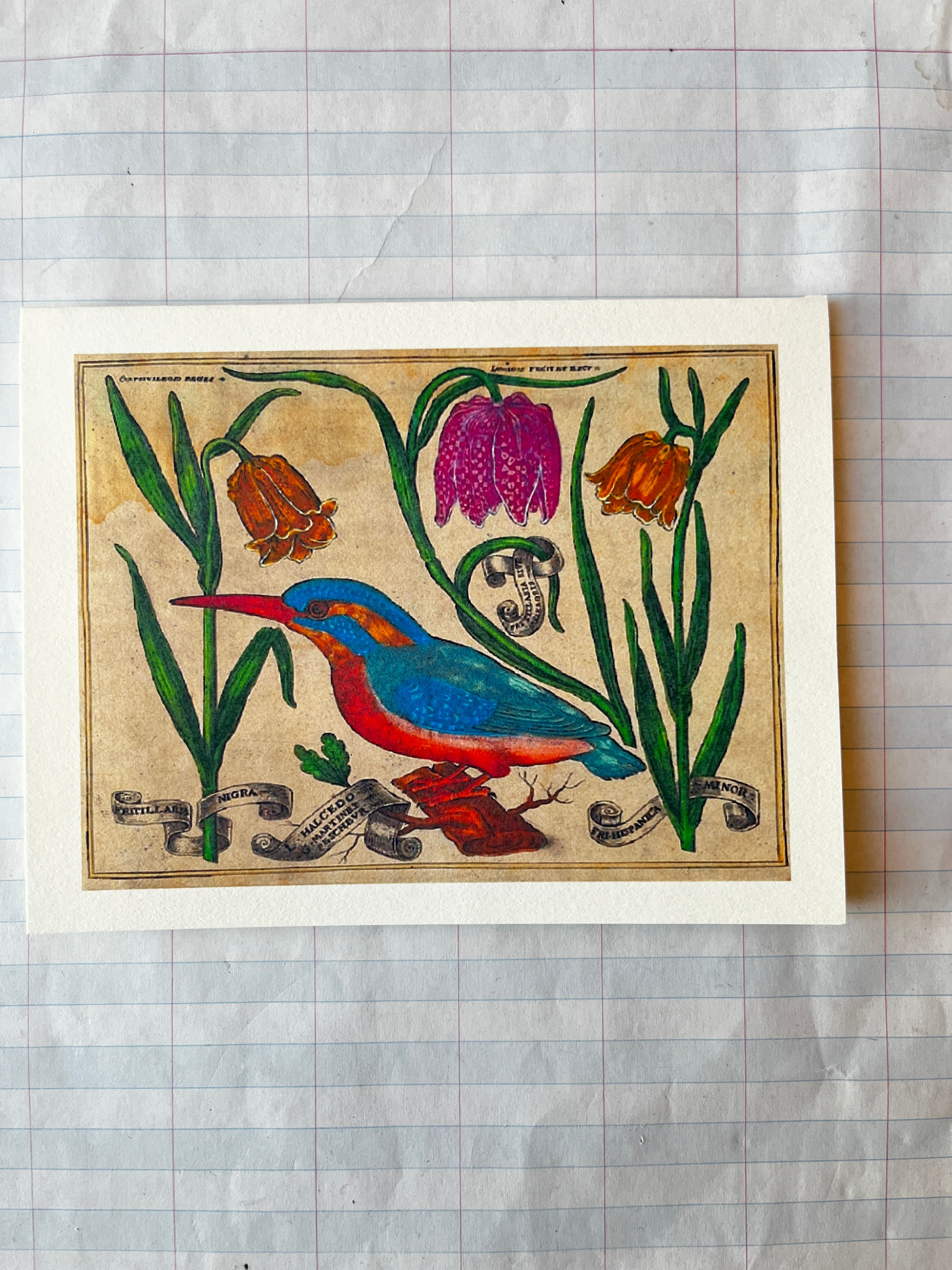 Bird and Flowers Folded Card Set - PARCEL