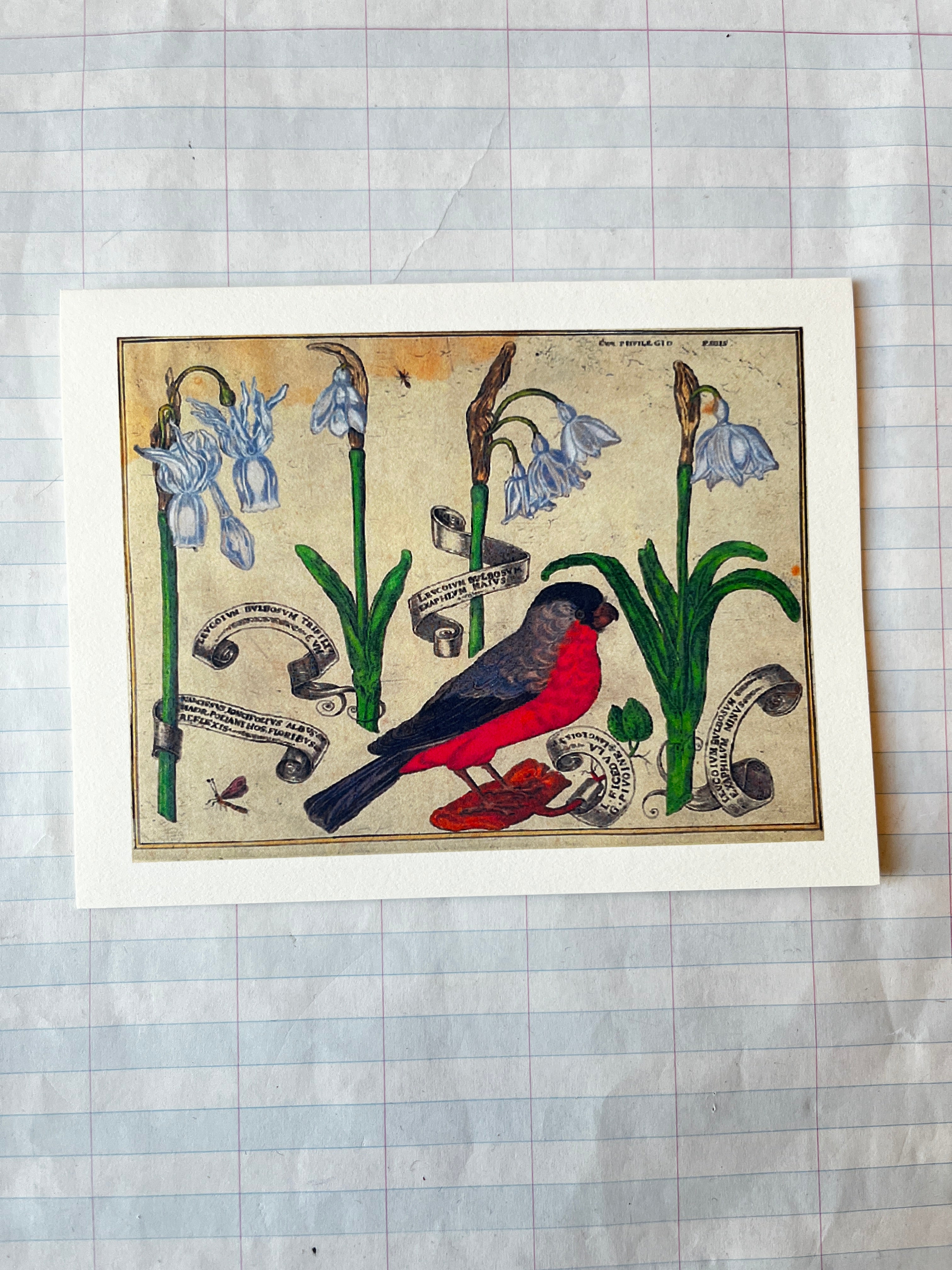 Bird and Flowers Folded Card Set - PARCEL