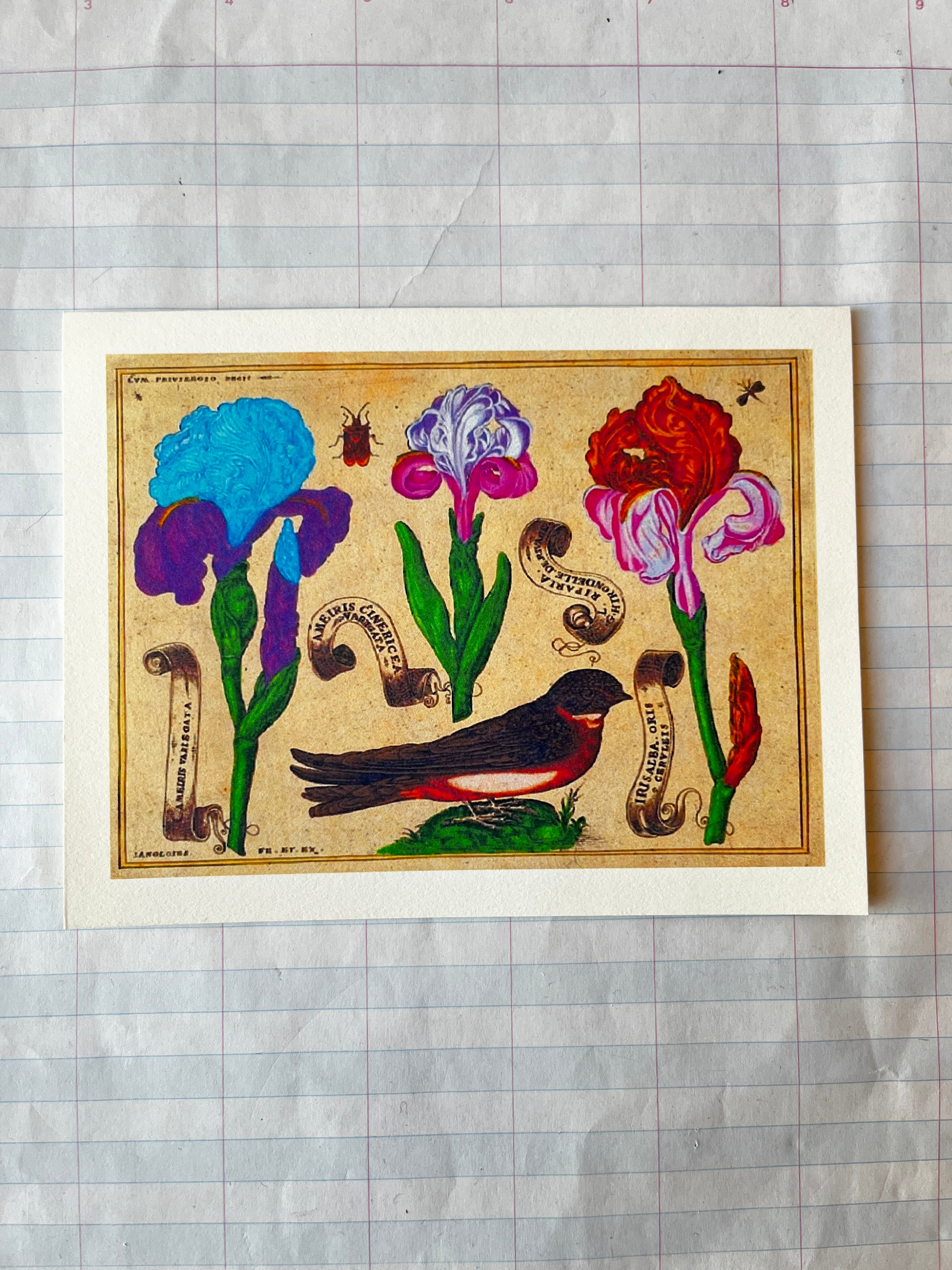 Bird and Flowers Folded Card Set - PARCEL