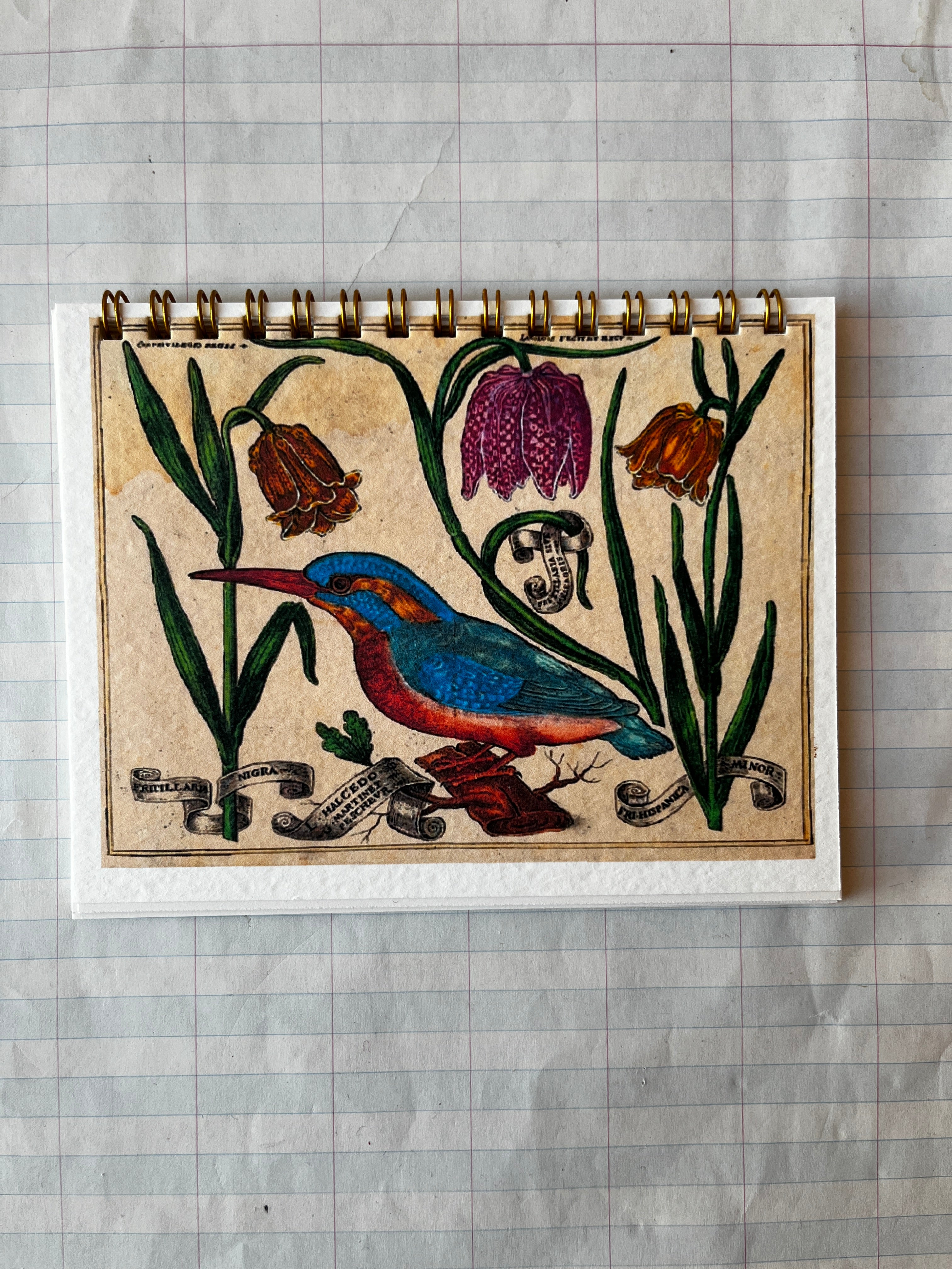 Bird and Flowers Notebook - PARCEL