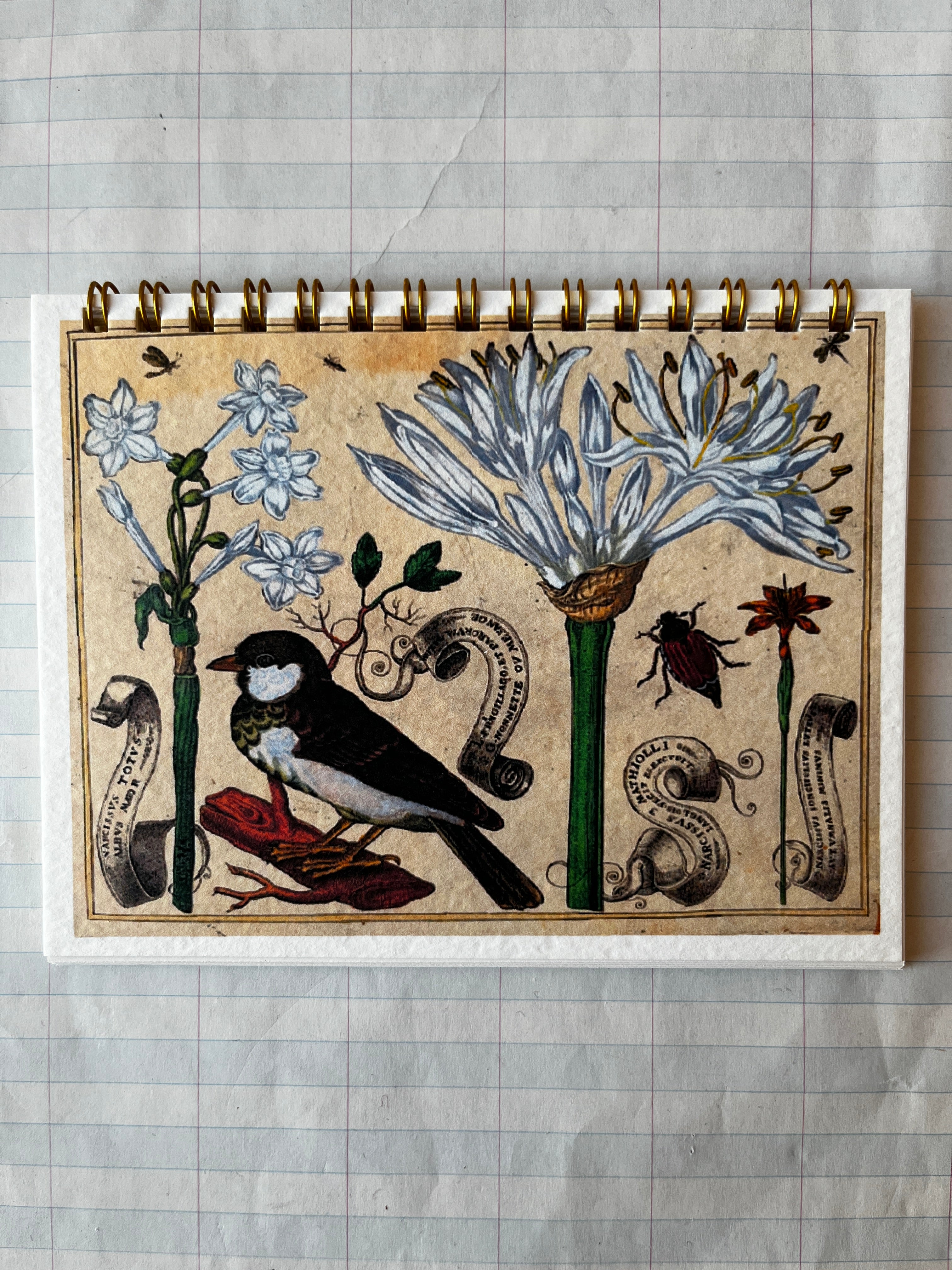 Bird and Flowers Notebook - PARCEL