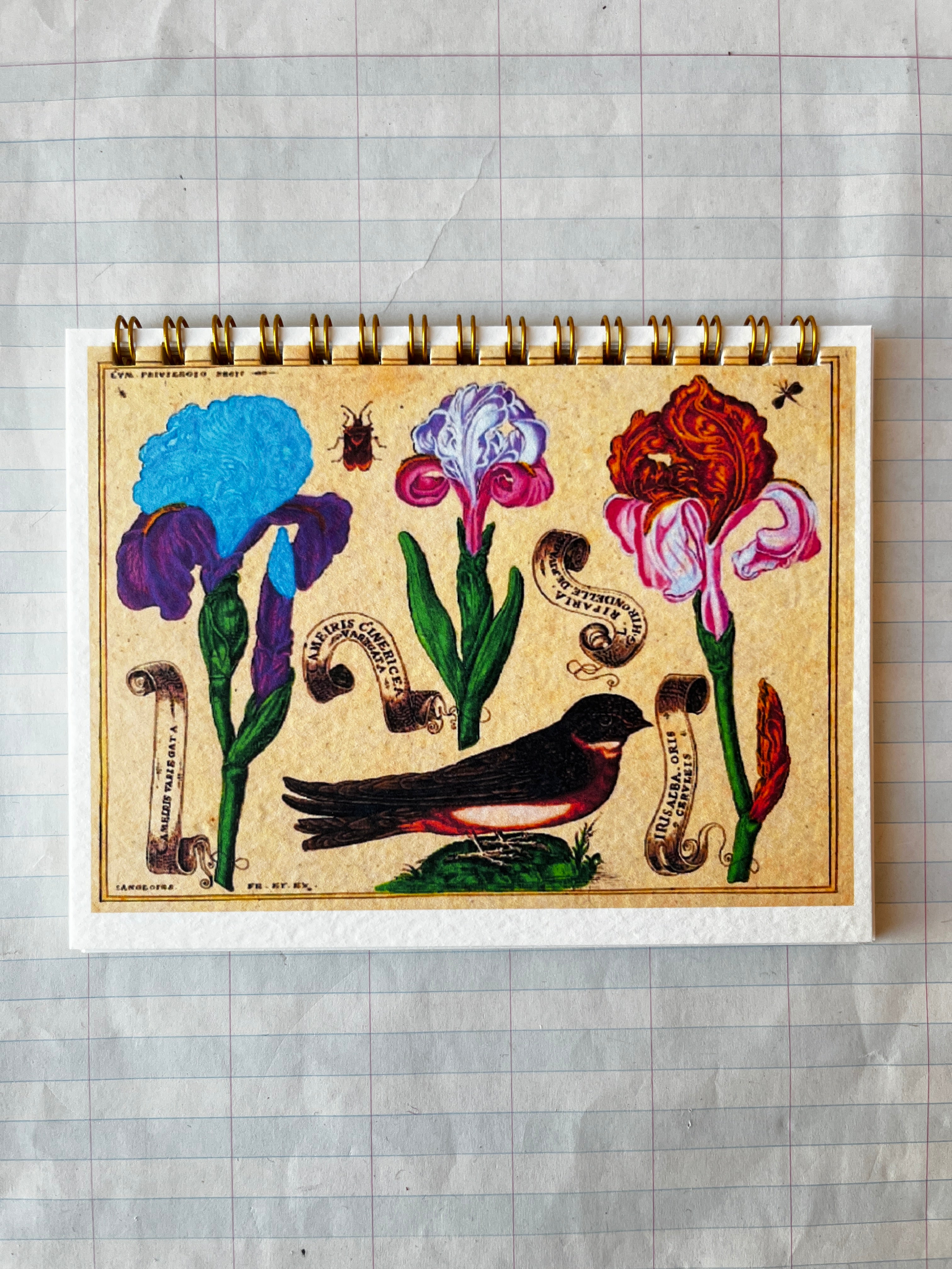 Bird and Flowers Notebook - PARCEL