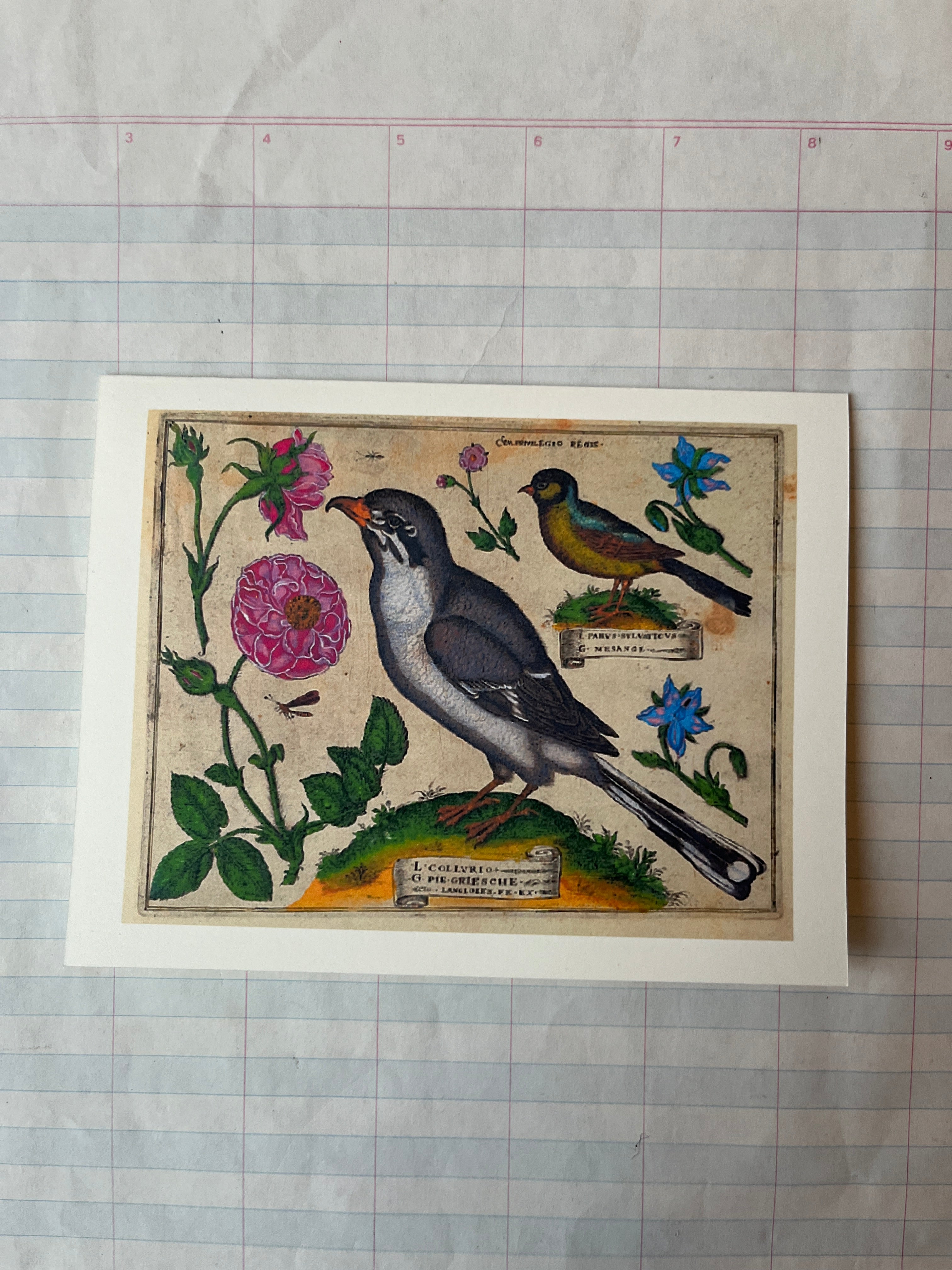 Bird and Flowers Folded Card Set - PARCEL