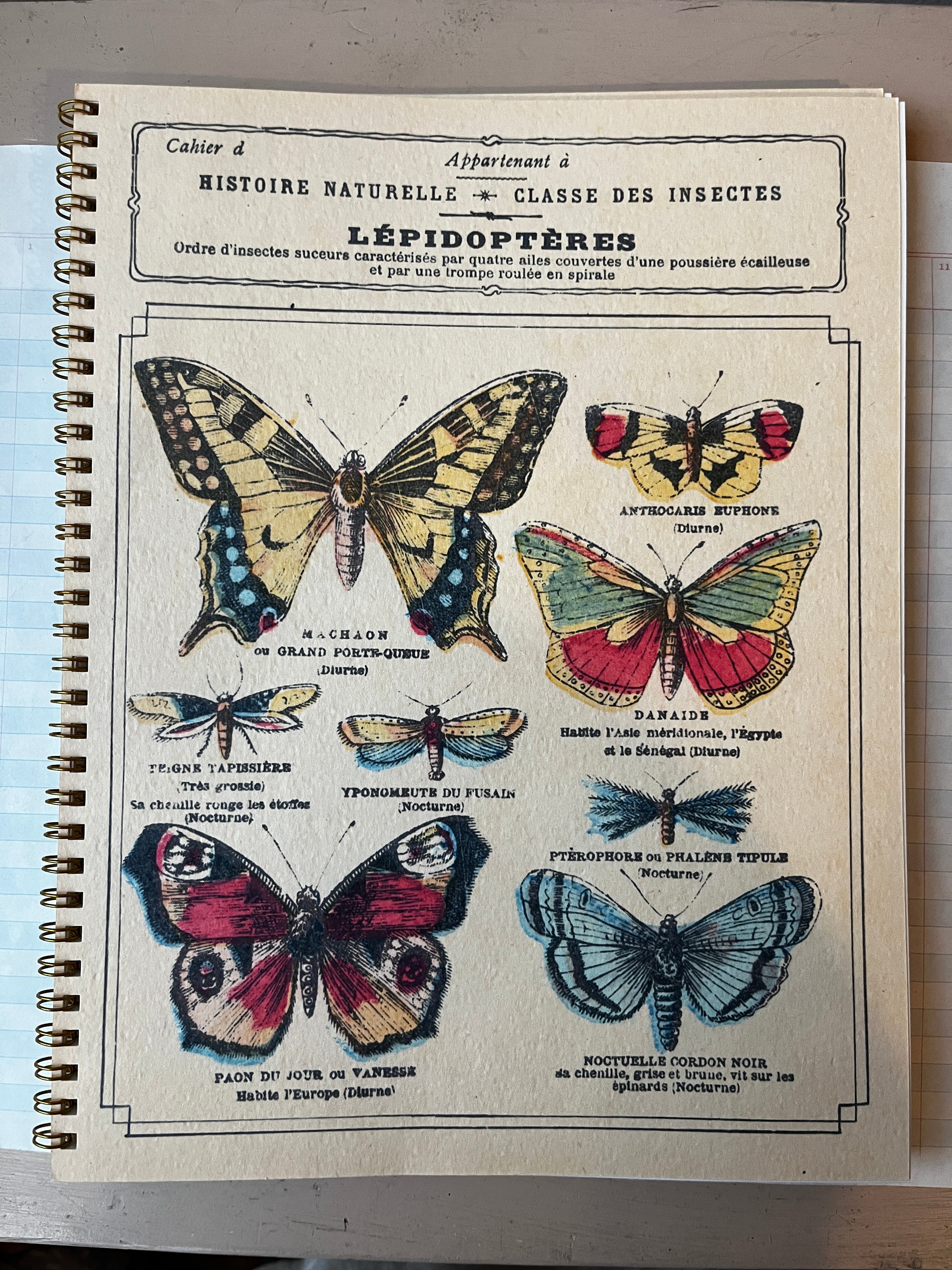 Classe Des Insects Notebook - PARCEL